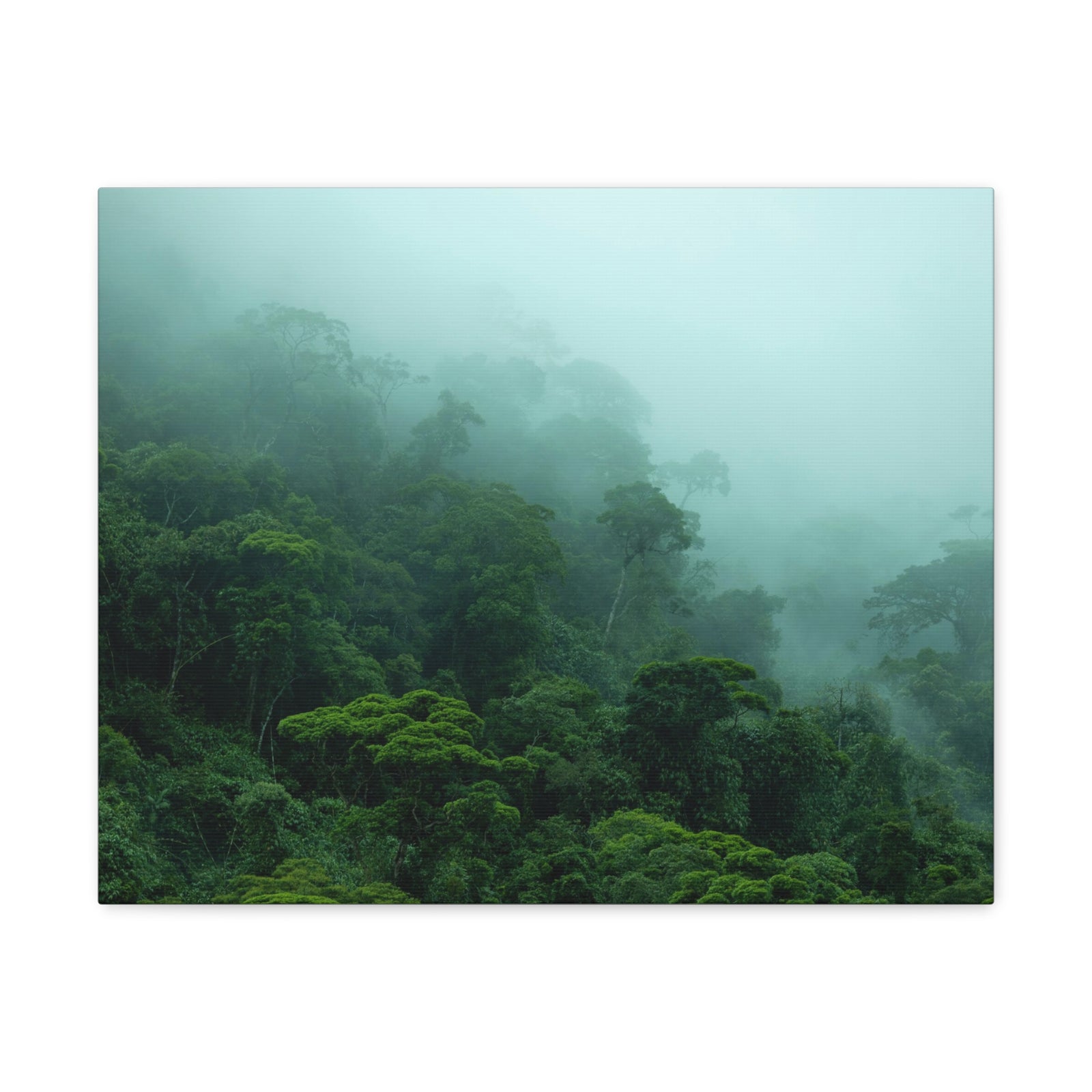 Dark Misty Forest Nature Wilderness Photography Canvas Wall Art for Home Decor Ready-to-Hang-Express Your Love Gifts