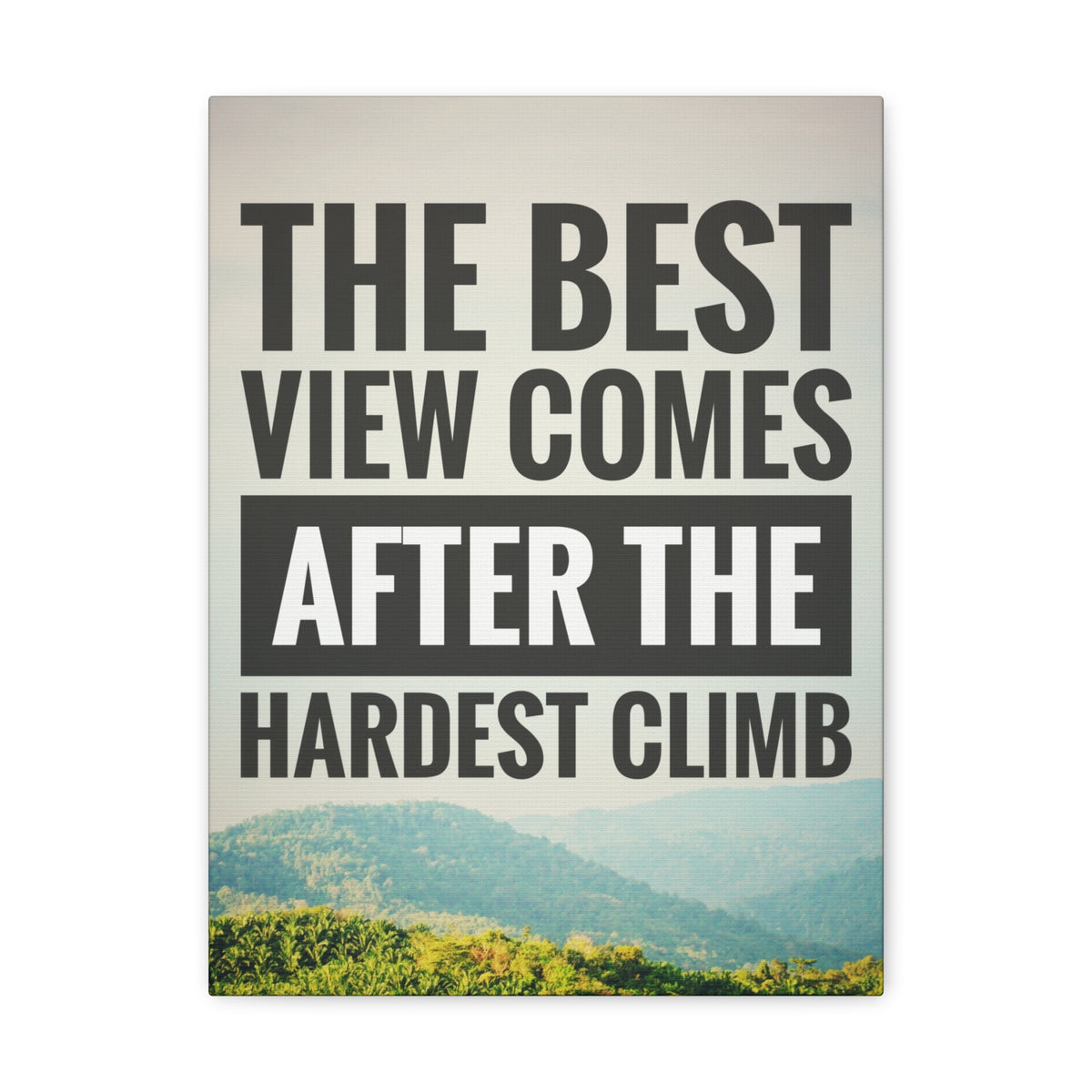 Inspirational Quote Canvas The Best View Comes Motivational Print Ready to Hang Artwork-Express Your Love Gifts