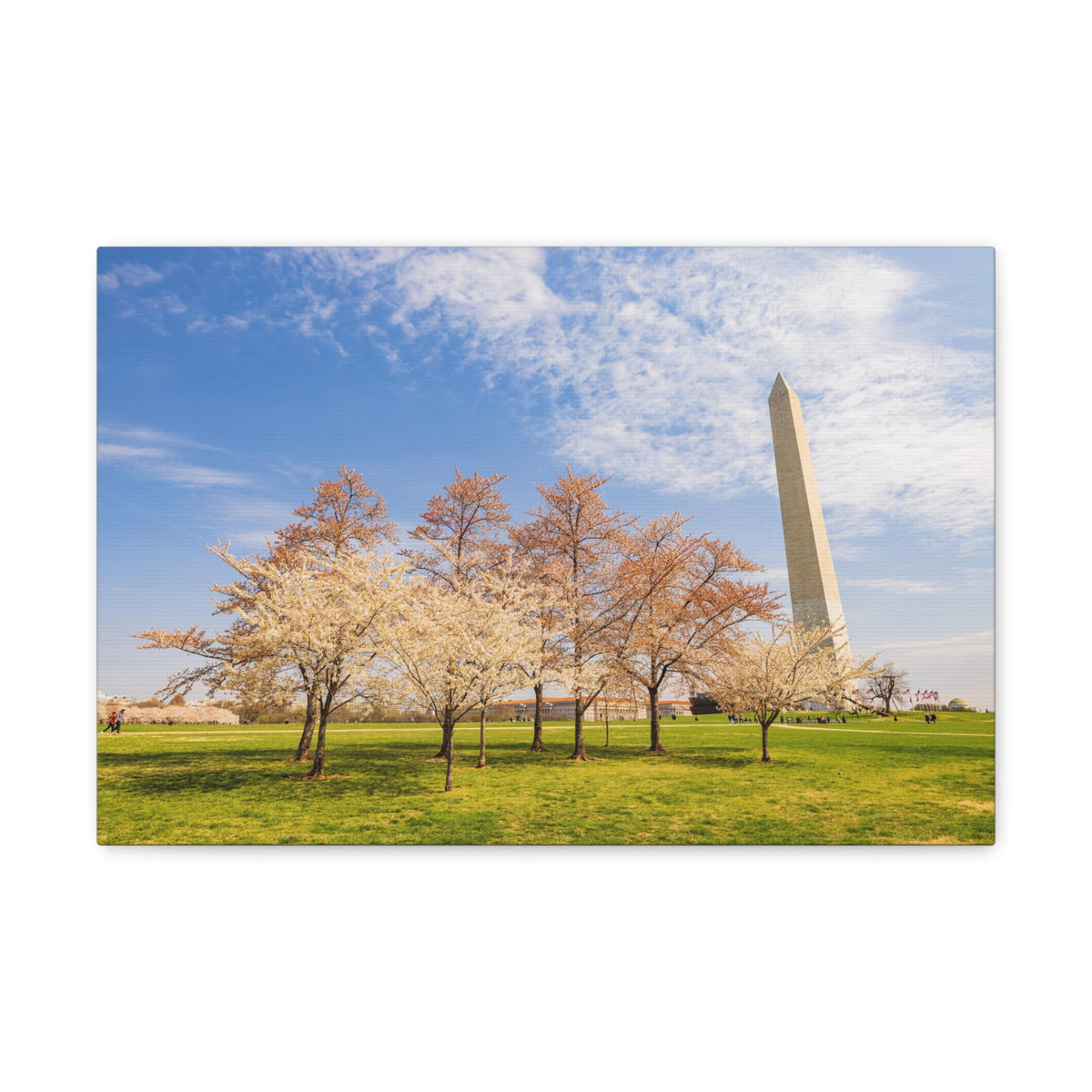 Pink Tree Cherry Blossom Festival at The National Mall Washington Modern Multicolor Scenic Nature Photography Canvas Home Office Decor Ready to Hang-Express Your Love Gifts