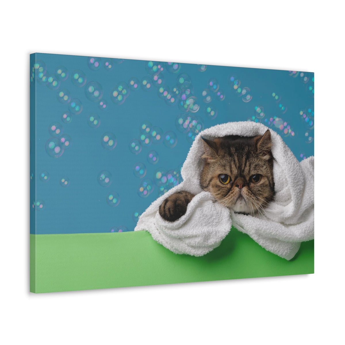 Cute Exotic Shorthair Bathee Canvas Wall Art for Home Decor Ready-to-Hang-Express Your Love Gifts