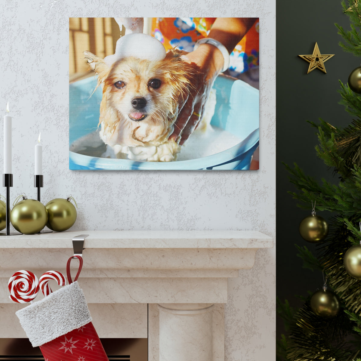 Cute Pomeranian Bathee Canvas Wall Art for Home Decor Ready-to-Hang-Express Your Love Gifts