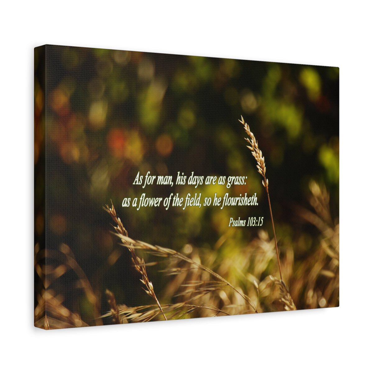 Scripture Canvas Flower of the Field Psalm 103:15 Christian Wall Art Bible Verse Print Ready to Hang-Express Your Love Gifts