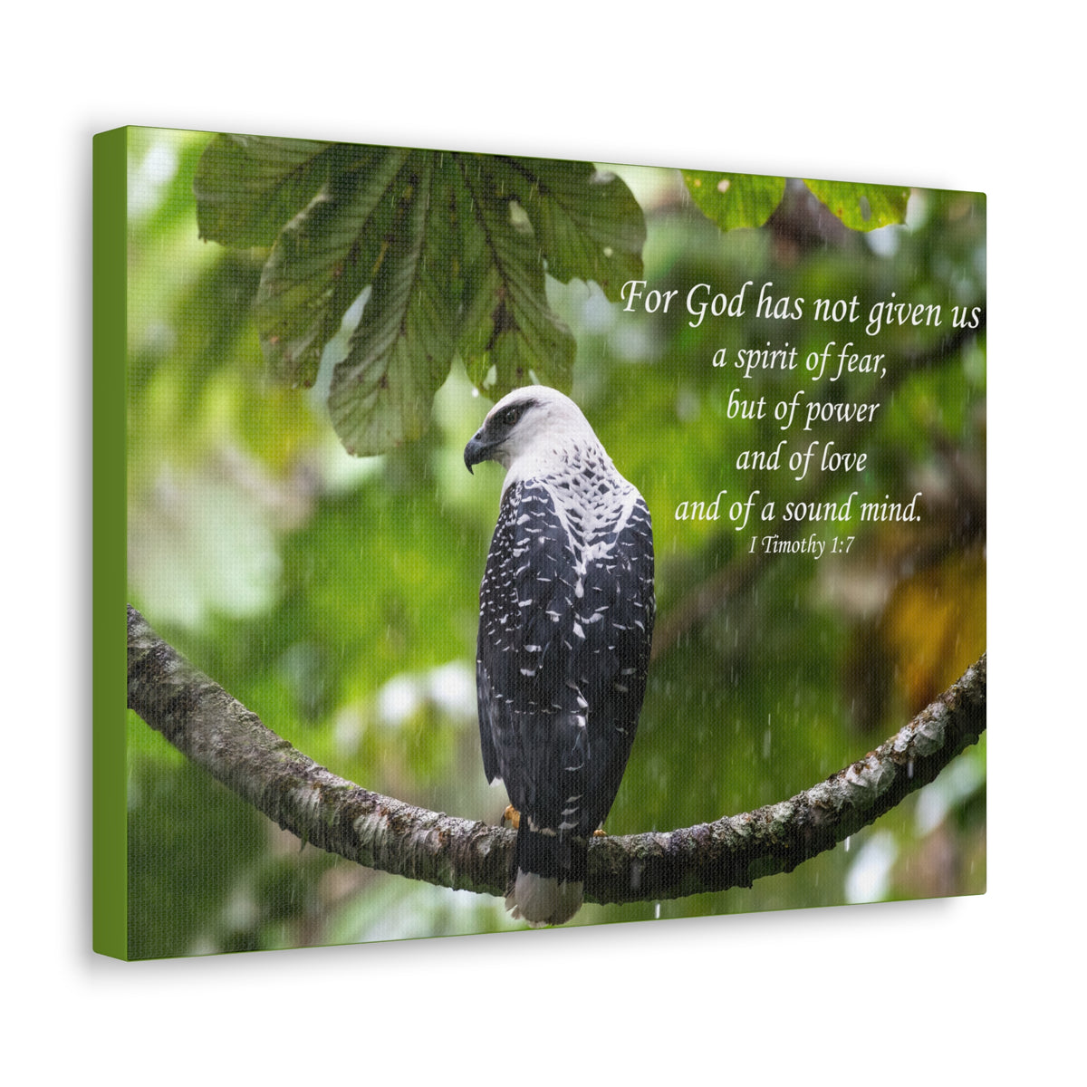 Scripture Canvas A Sound Mind 1 Timothy 1:7 Christian Wall Art Bible Verse Print Ready to Hang-Express Your Love Gifts