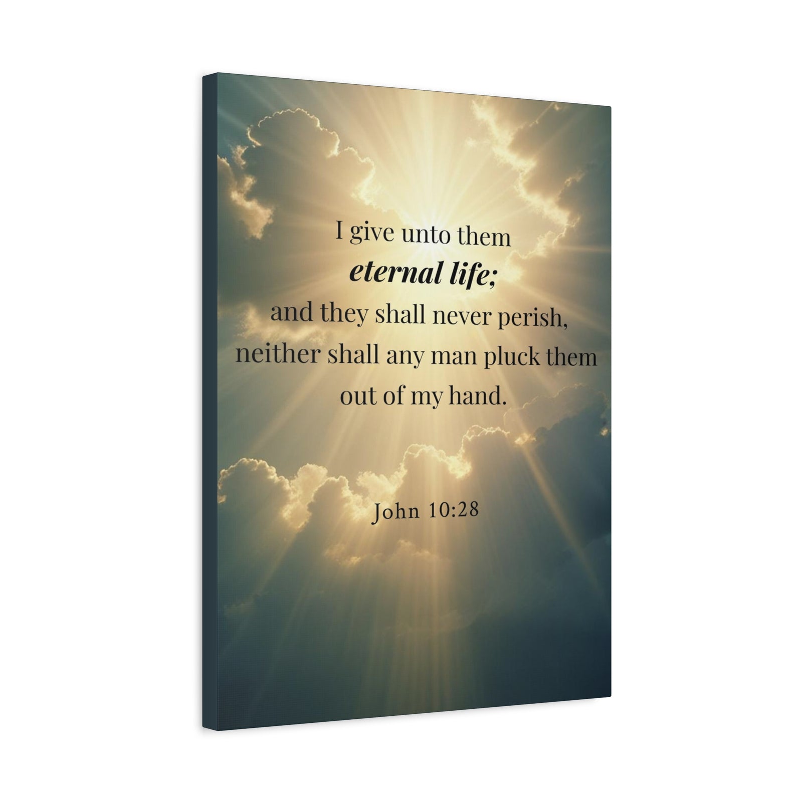 Scripture Walls John 10:28 Eternal Assurance Bible Verse Canvas Christian Wall Art Ready to Hang Unframed-Express Your Love Gifts