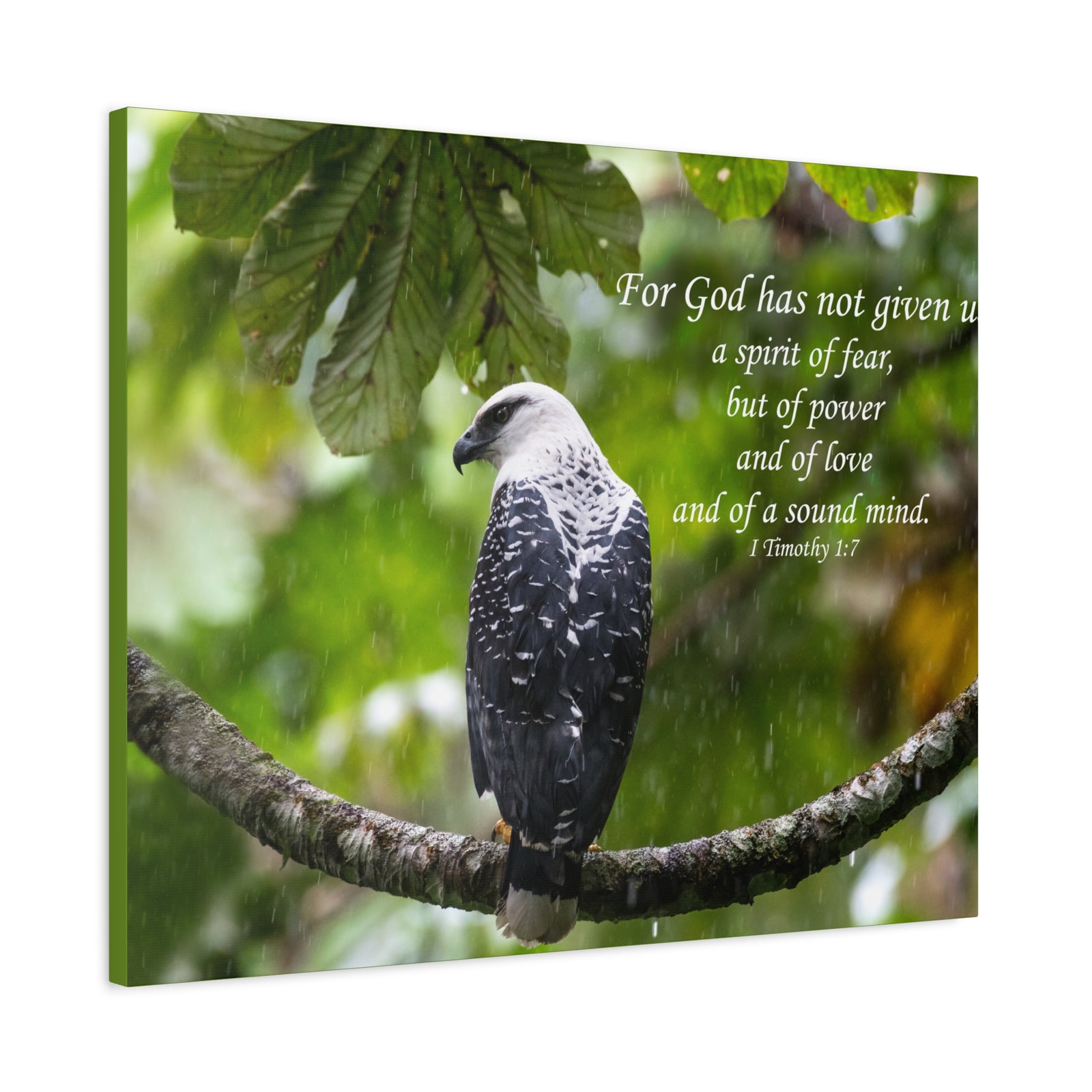 Scripture Canvas A Sound Mind 1 Timothy 1:7 Christian Wall Art Bible Verse Print Ready to Hang-Express Your Love Gifts