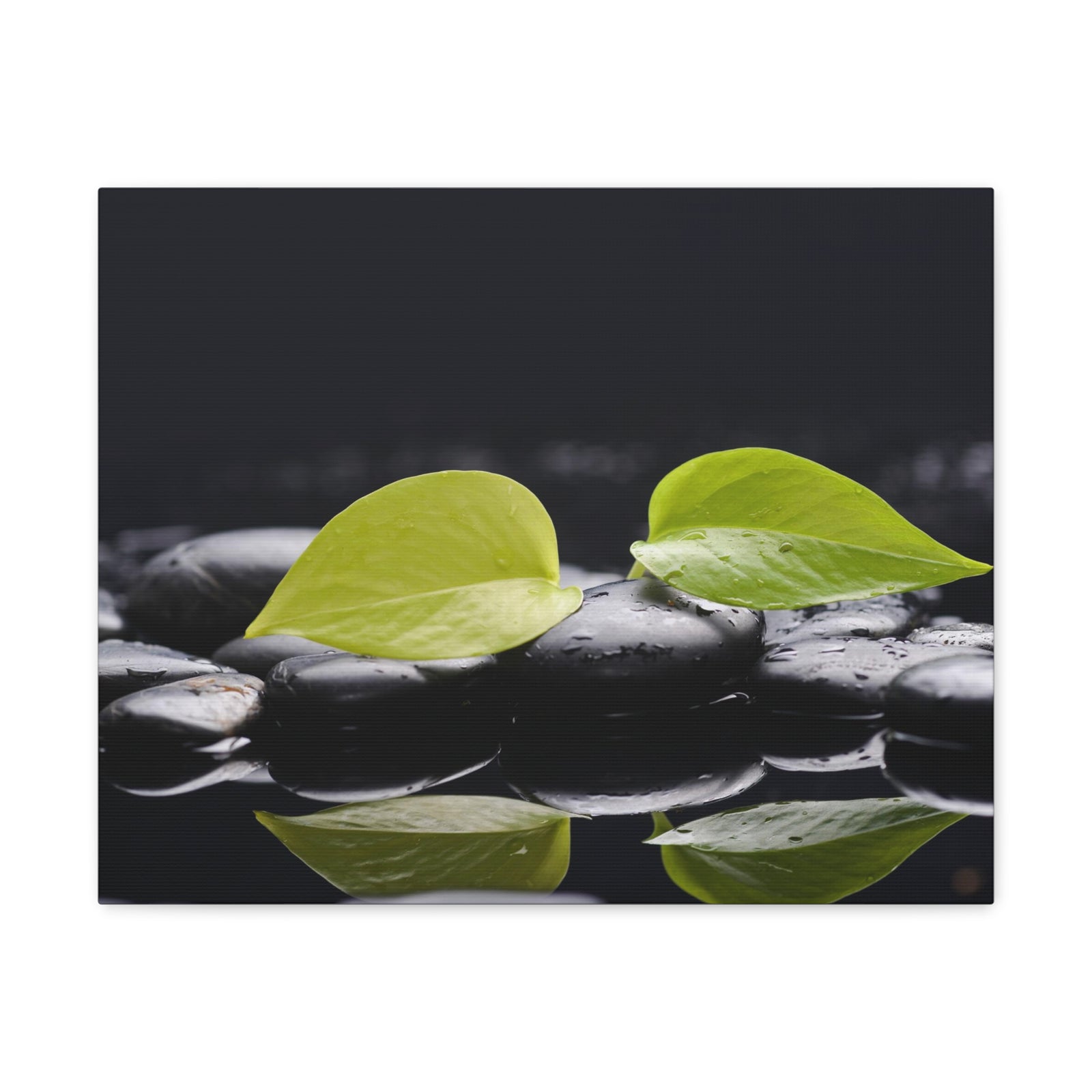 Green Leaf with Stones Forest Floral Nature Photography Canvas Wall Art for Home Decor Ready-to-Hang-Express Your Love Gifts