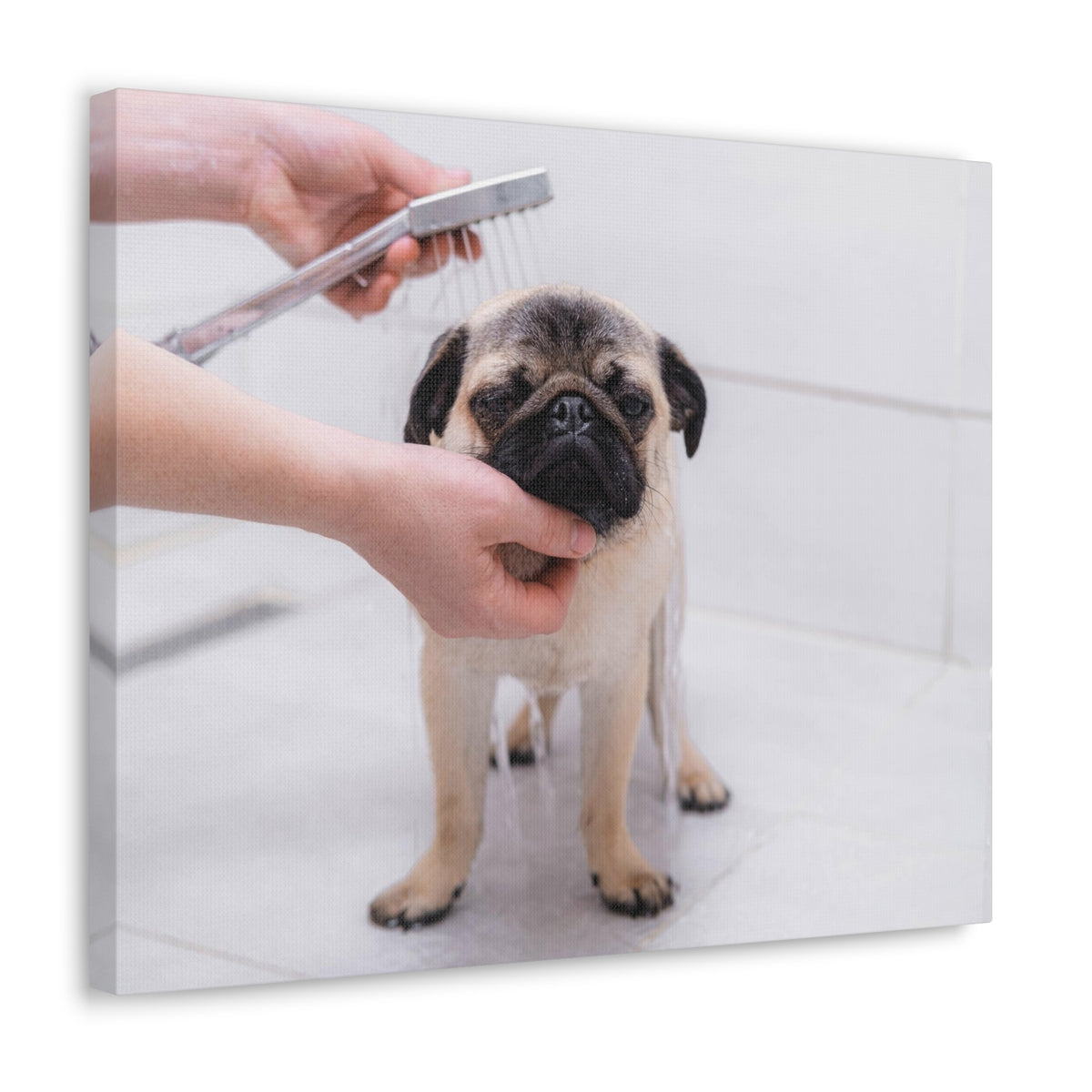 Cute Pug Bathee Canvas Wall Art for Home Decor Ready-to-Hang-Express Your Love Gifts