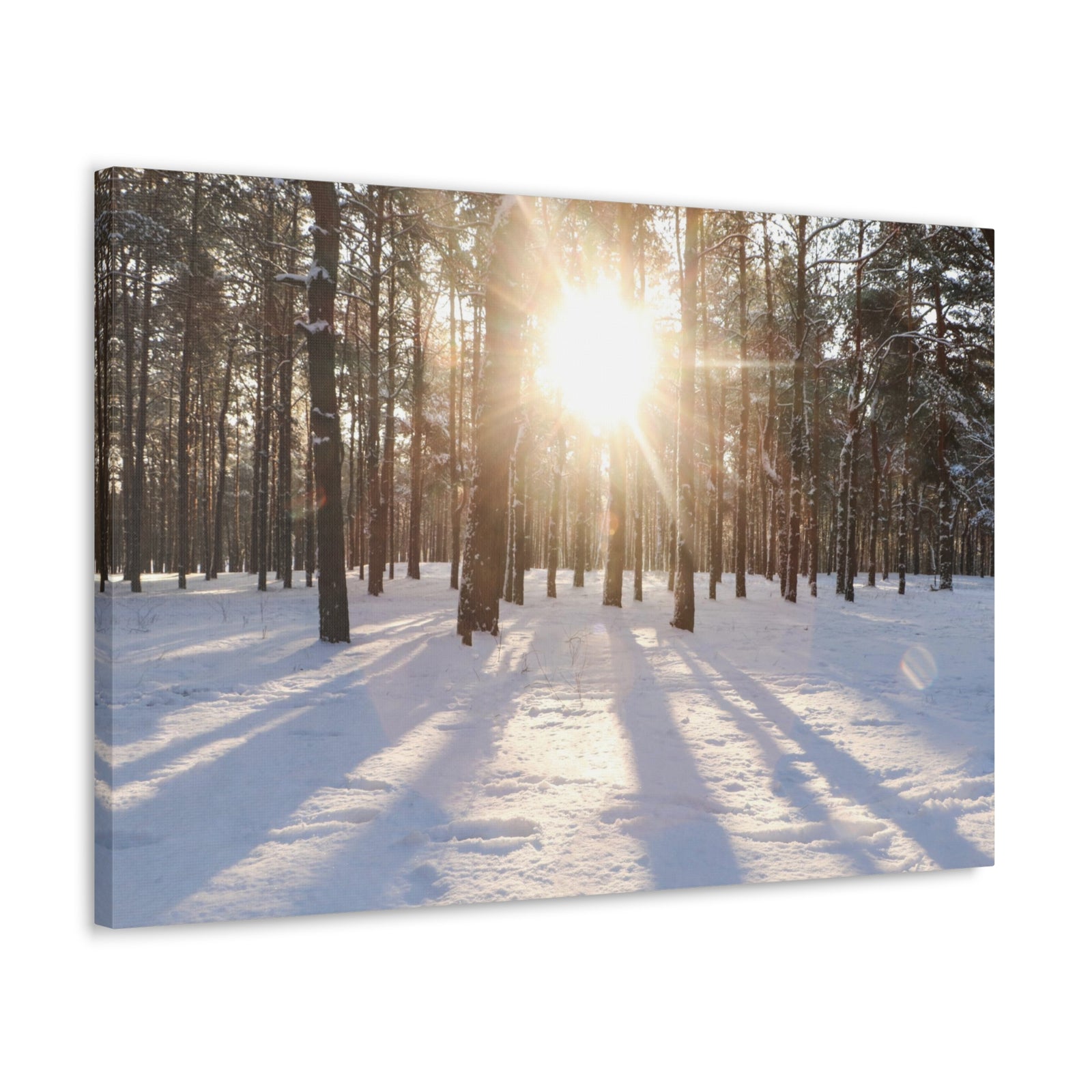 Tree Forest Covered In Snow Nature Wilderness Photography Canvas Wall Art for Home Decor Ready-to-Hang-Express Your Love Gifts
