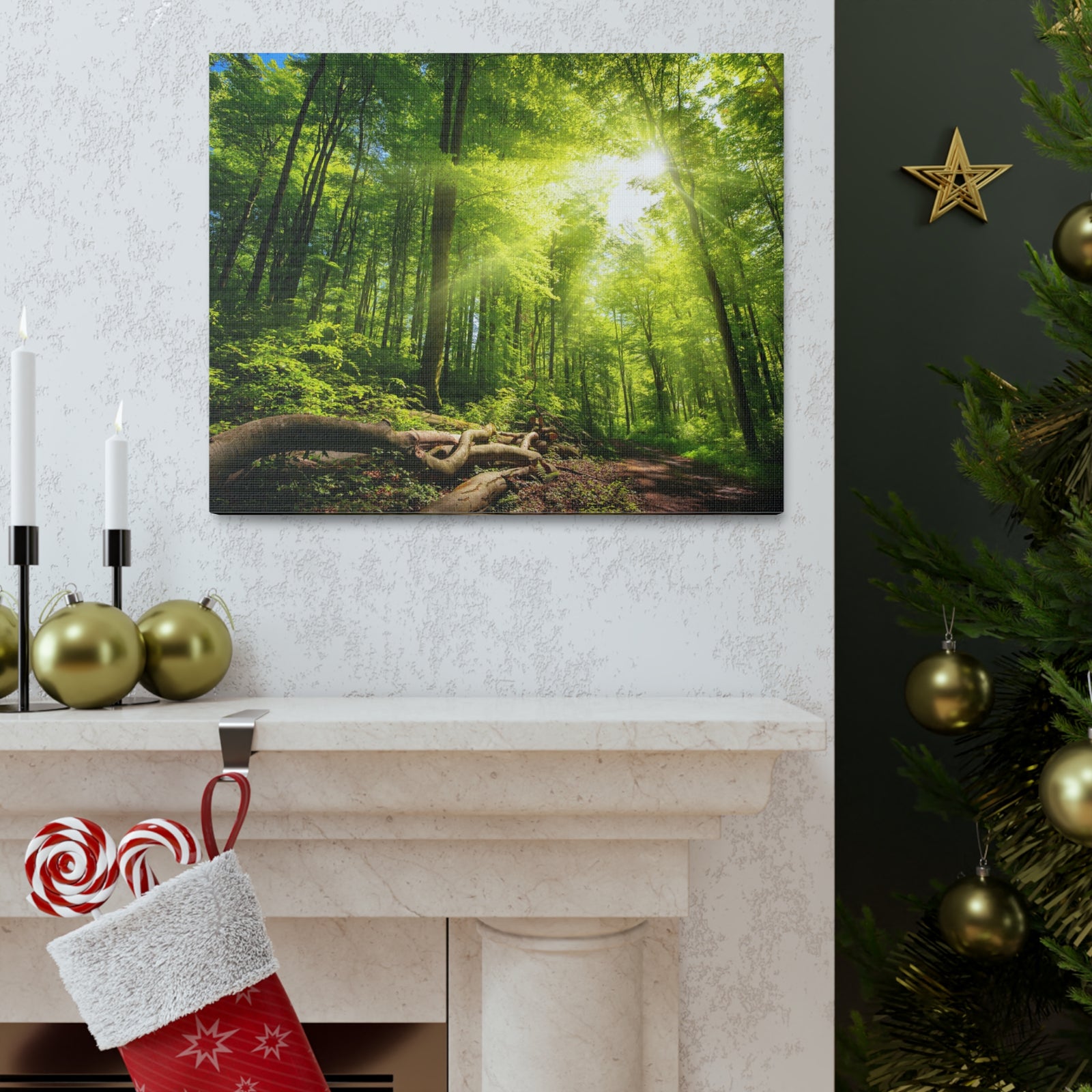 Sunlight Forest Green Nature Wilderness Photography Canvas Wall Art for Home Decor Ready-to-Hang-Express Your Love Gifts