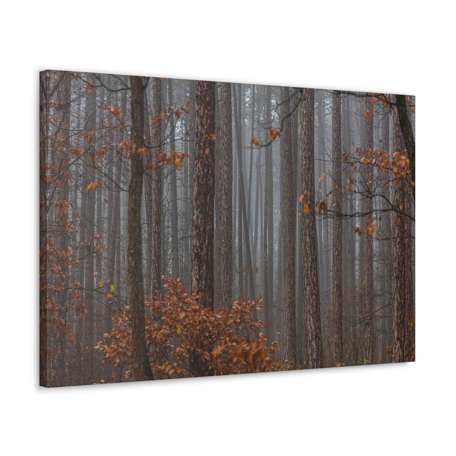 Autumn Forest Misty Orange Leave Nature Wilderness Photography Canvas Wall Art for Home Decor Ready-to-Hang-Express Your Love Gifts