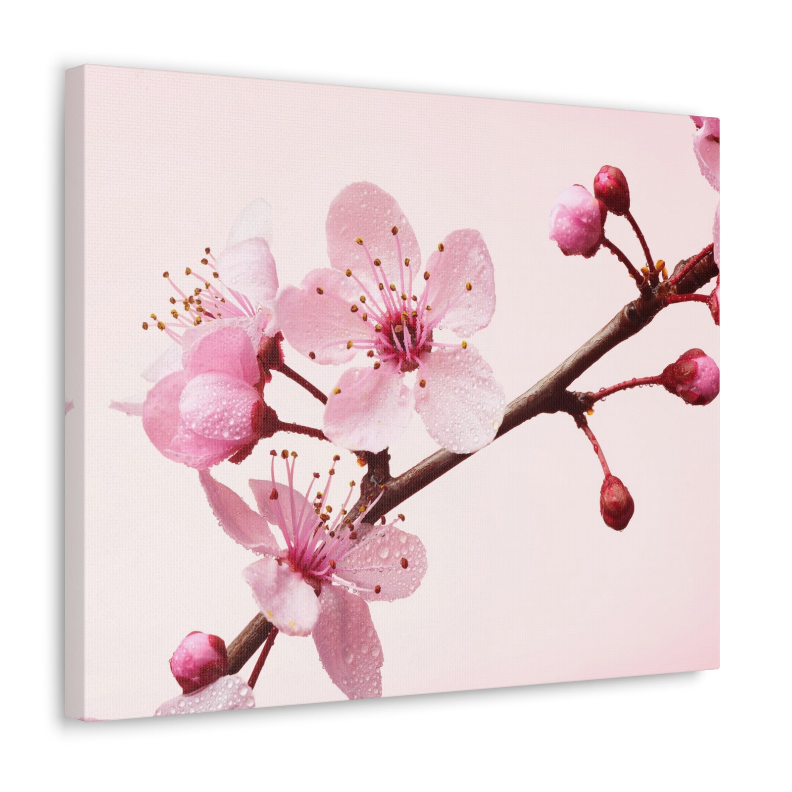 Cherry Blossom Branch Forest Floral Nature Photography Canvas Wall Art for Home Decor Ready-to-Hang-Express Your Love Gifts