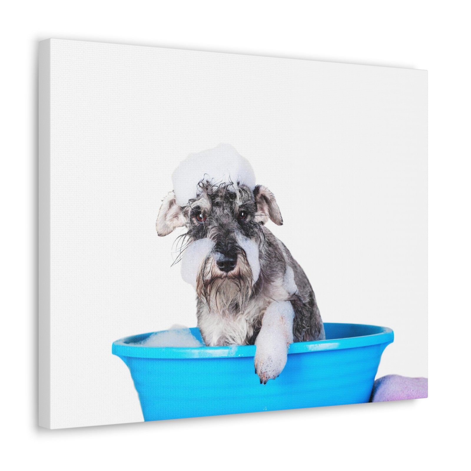 Cute Schnauzer Bath Canvas Wall Art for Home Decor Ready-to-Hang-Express Your Love Gifts