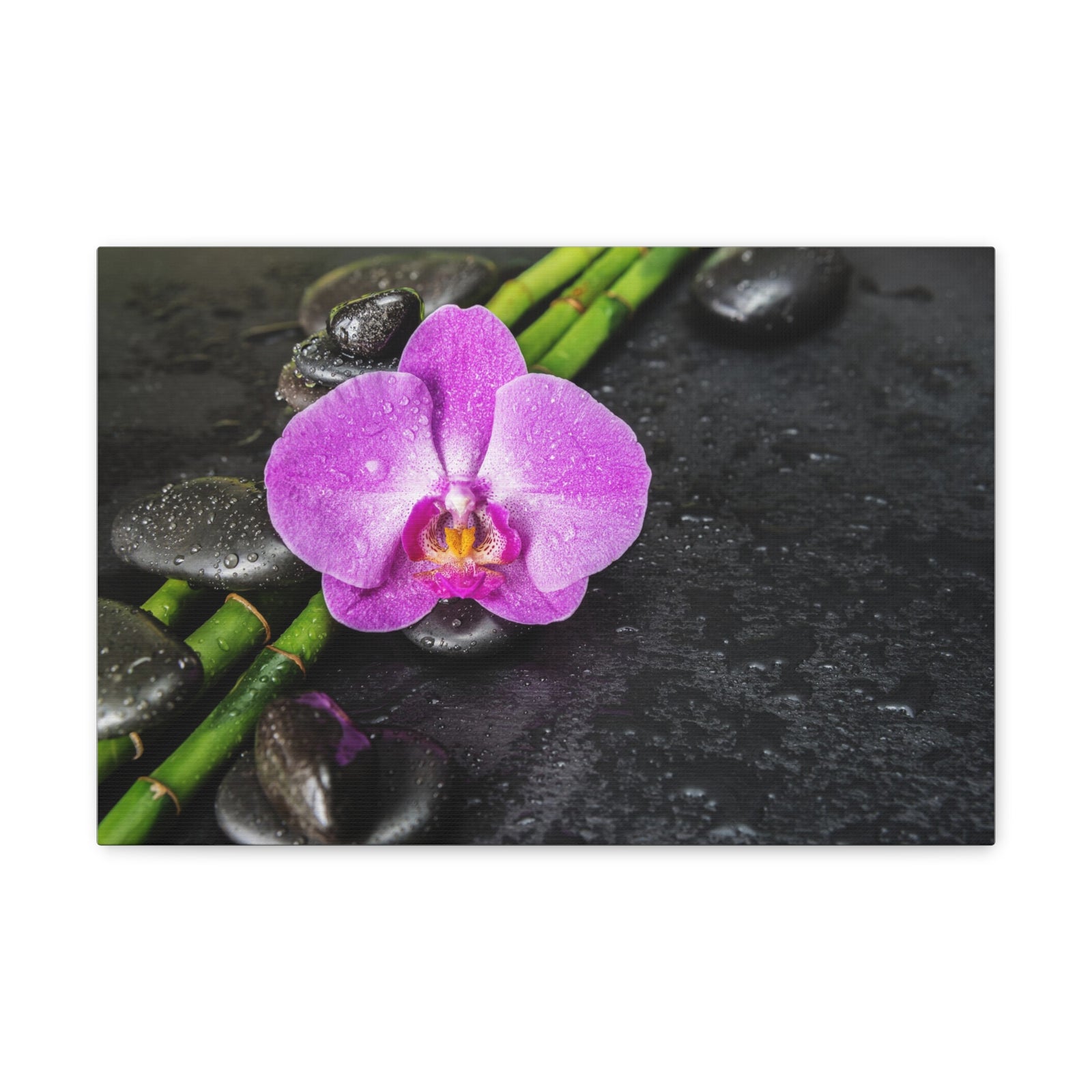 Pink Orchid and Stone Forest Floral Nature Photography Canvas Wall Art for Home Decor Ready-to-Hang-Express Your Love Gifts