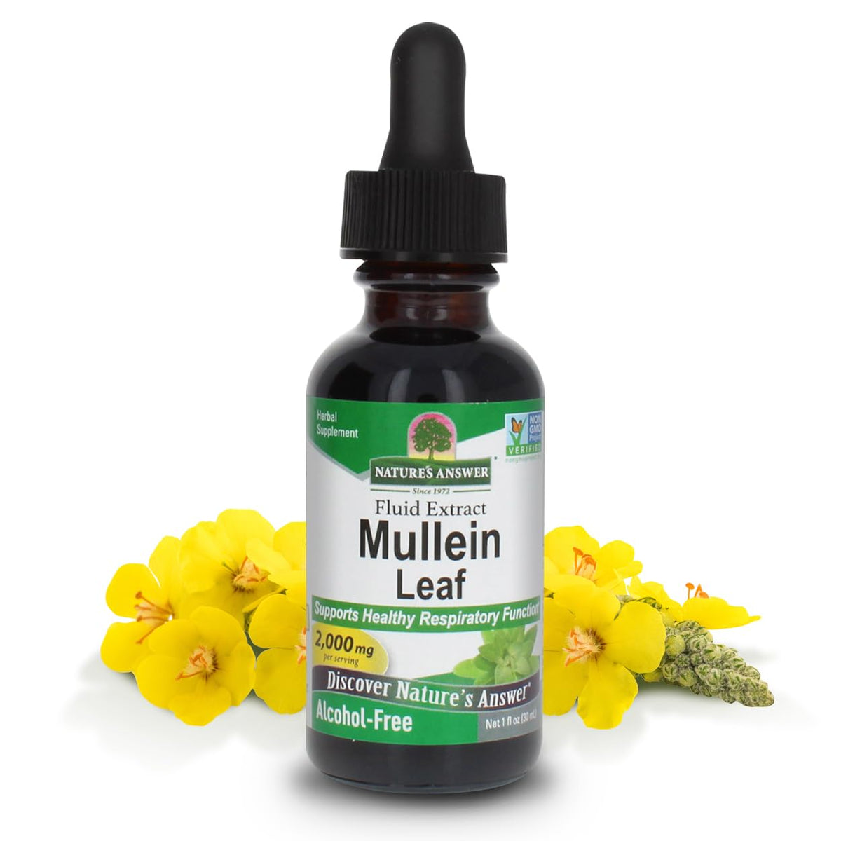Nature's Answer Mullein Leaf Extract Drops – Alcohol-Free Lung Support Supplement, 1 oz, Non-GMO, Made in USA-Express Your Love Gifts