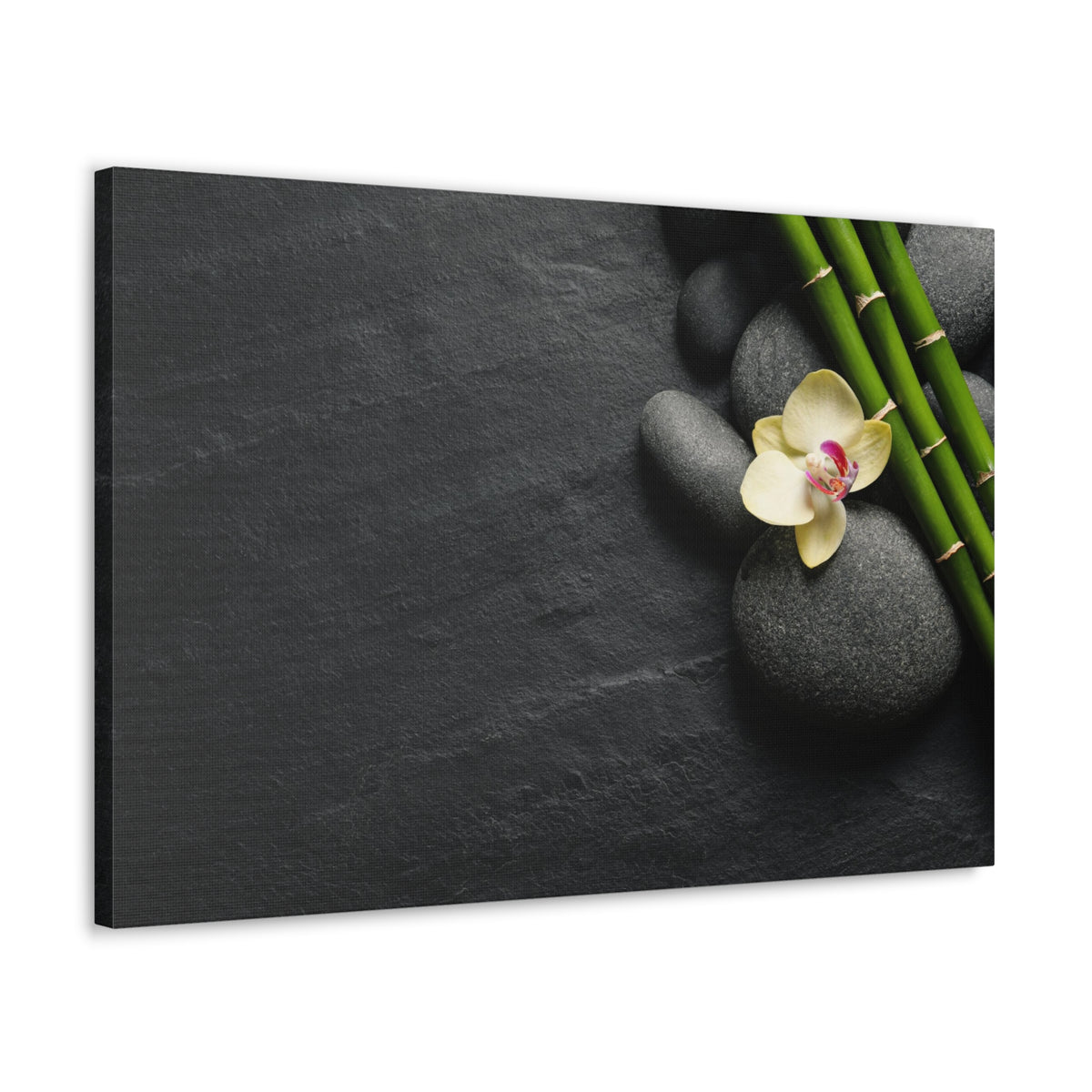 Beautiful Orchid Flower Forest Floral Nature Photography Canvas Wall Art for Home Decor Ready-to-Hang-Express Your Love Gifts