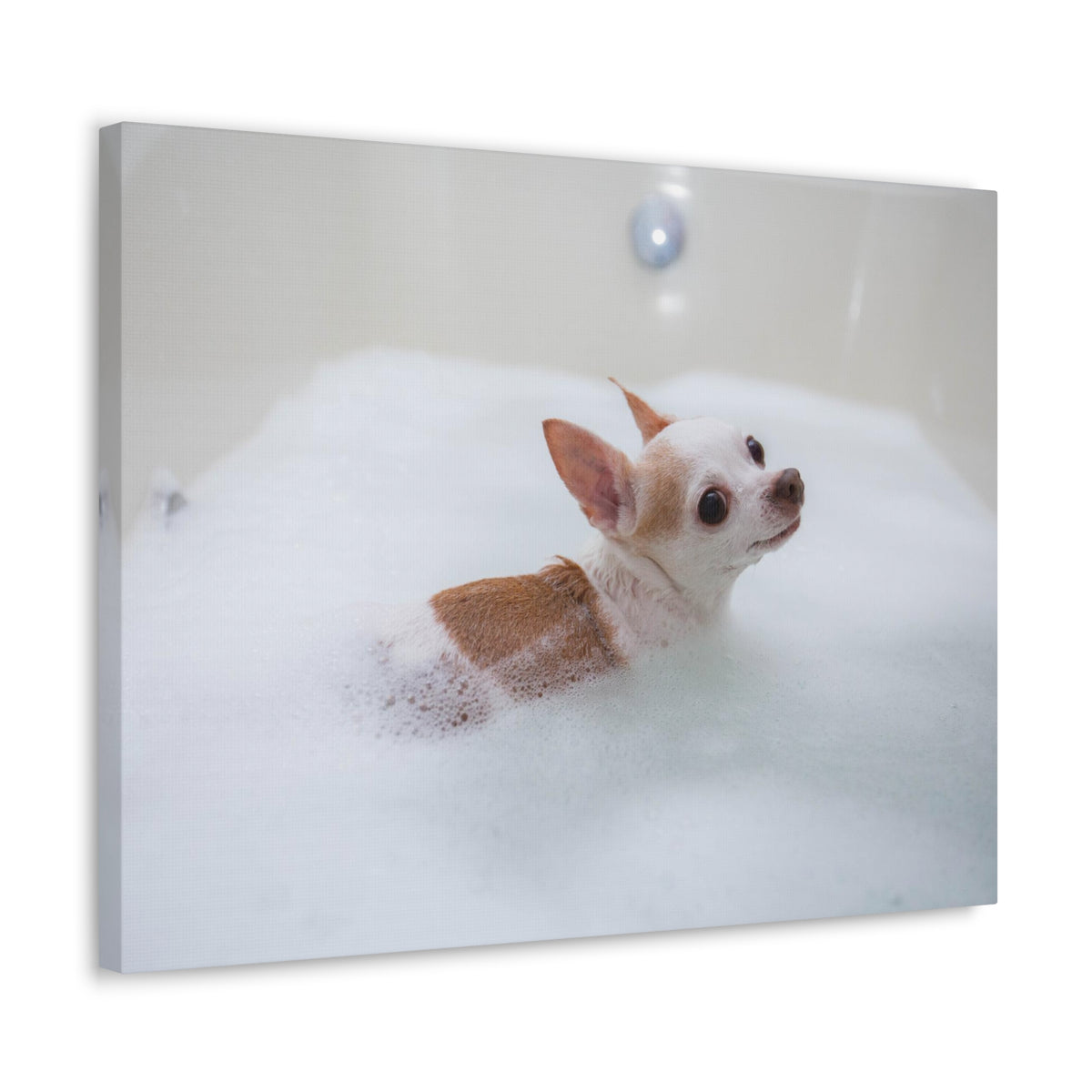 Cute Chihuahua Bathee Canvas Wall Art for Home Decor Ready-to-Hang-Express Your Love Gifts