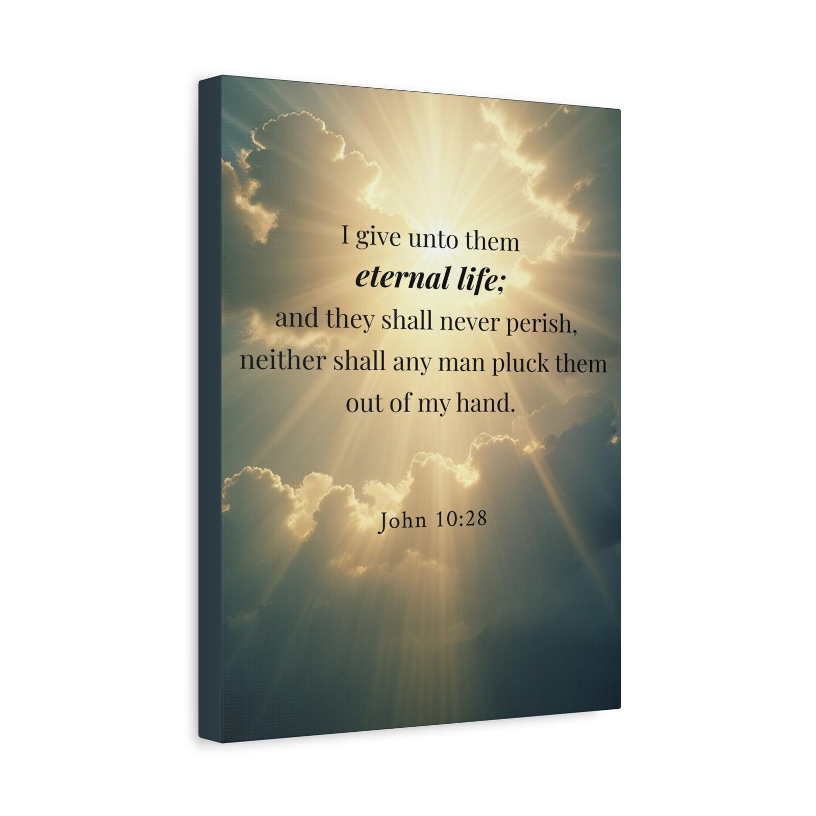 Scripture Walls John 10:28 Eternal Assurance Bible Verse Canvas Christian Wall Art Ready to Hang Unframed-Express Your Love Gifts