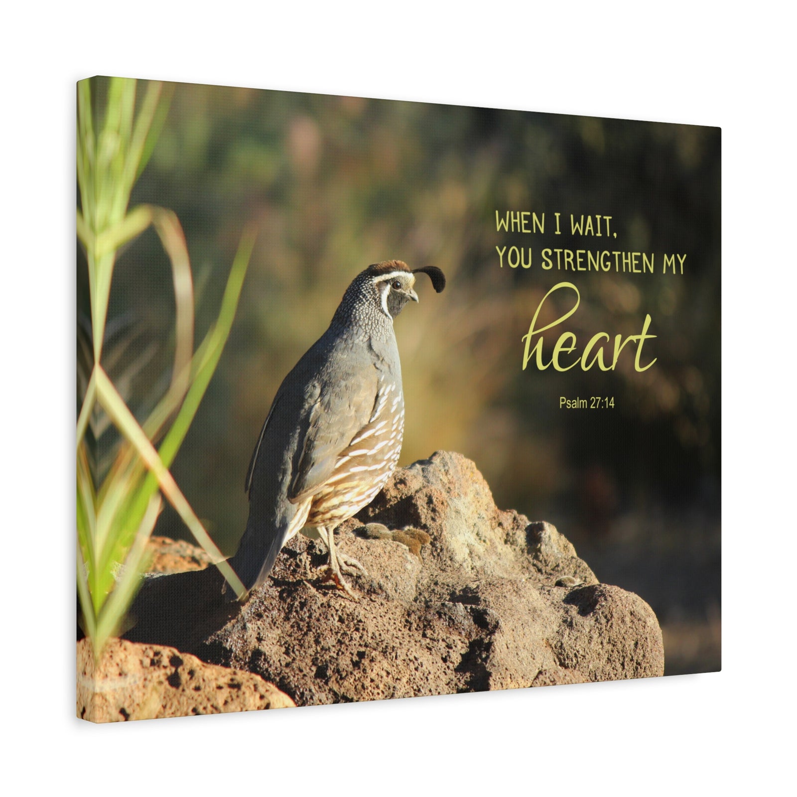 Scripture Walls Strengthen My Heart Psalm 27:14 Bird Bible Verse Canvas Christian Wall Art Ready to Hang-Express Your Love Gifts