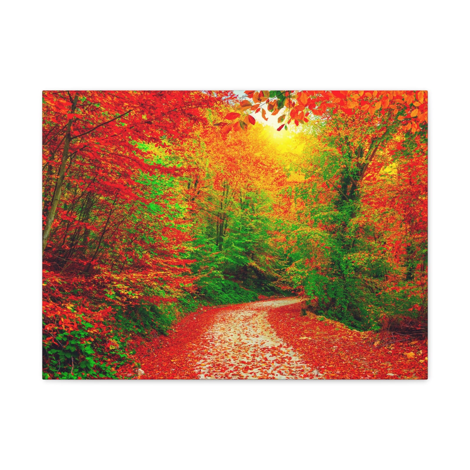 Colorful Trees Footpath Road Flower Canvas Wall Art for Home Decor Ready-to-Hang-Express Your Love Gifts