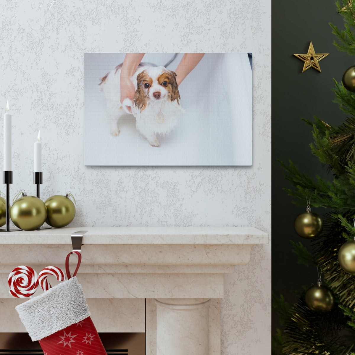 Cute Cavalier King Charles Spaniel Bath Canvas Wall Art for Home Decor Ready-to-Hang-Express Your Love Gifts