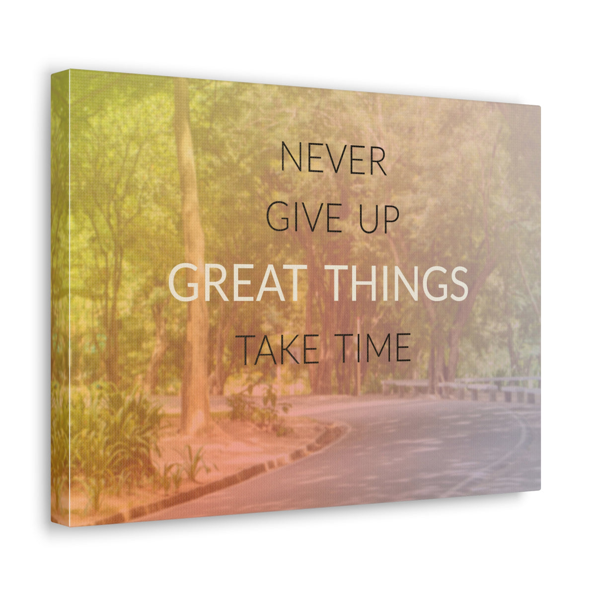 Inspirational Quote Canvas Never Give Up Motivational Print Ready to Hang Artwork-Express Your Love Gifts