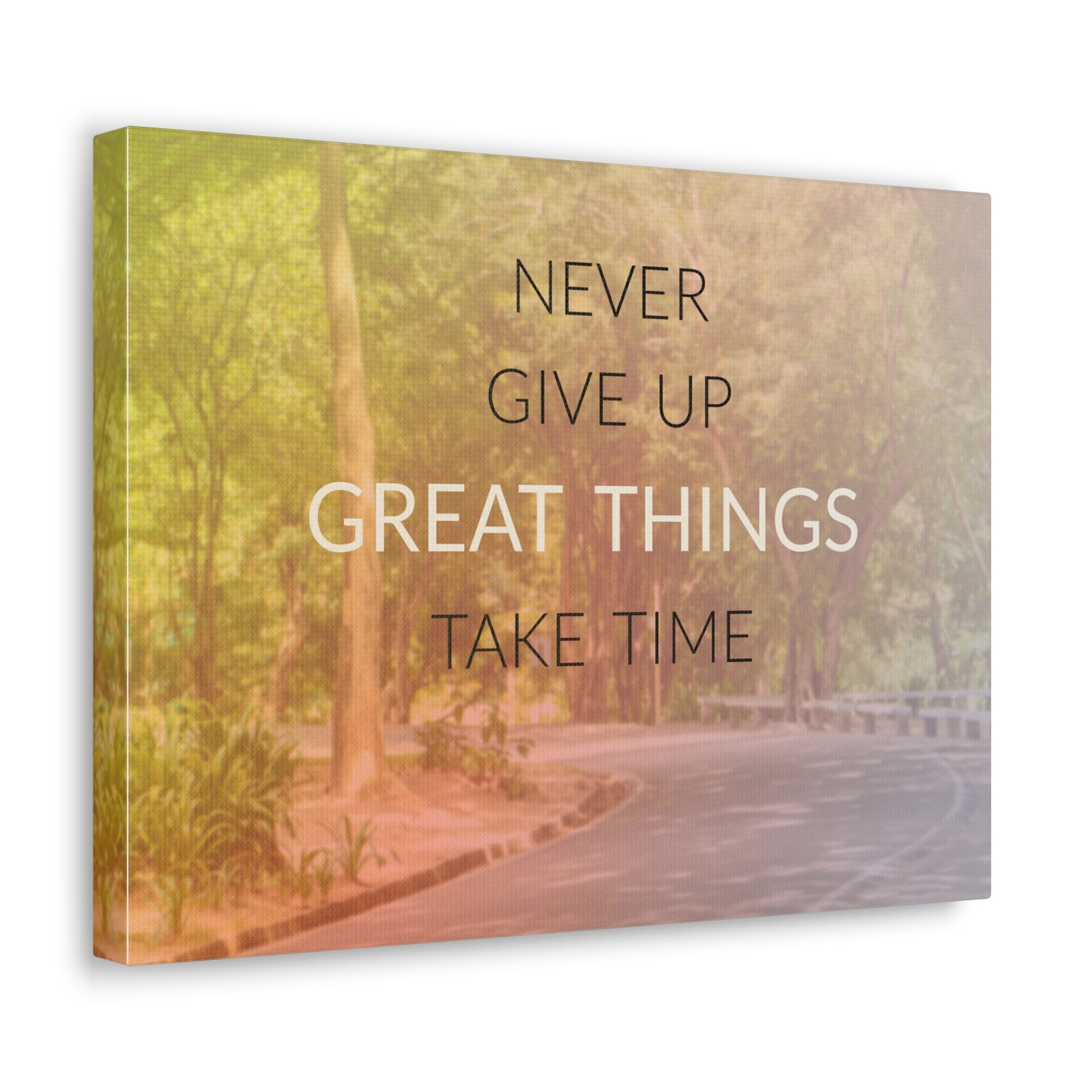 Inspirational Quote Canvas Never Give Up Motivational Print Ready to Hang Artwork-Express Your Love Gifts