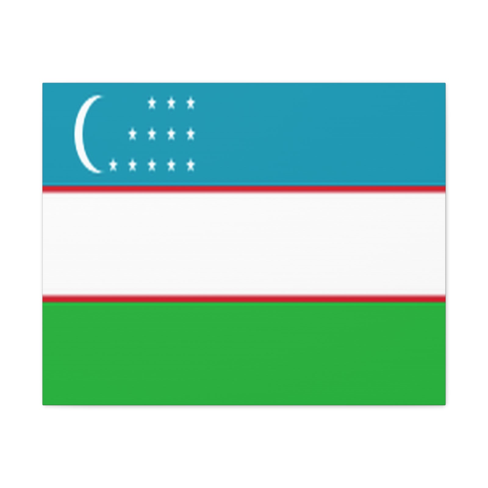 Uzbekistan Country Flag Canvas Vibrant Wall Art Unframed Home Decor-Express Your Love Gifts
