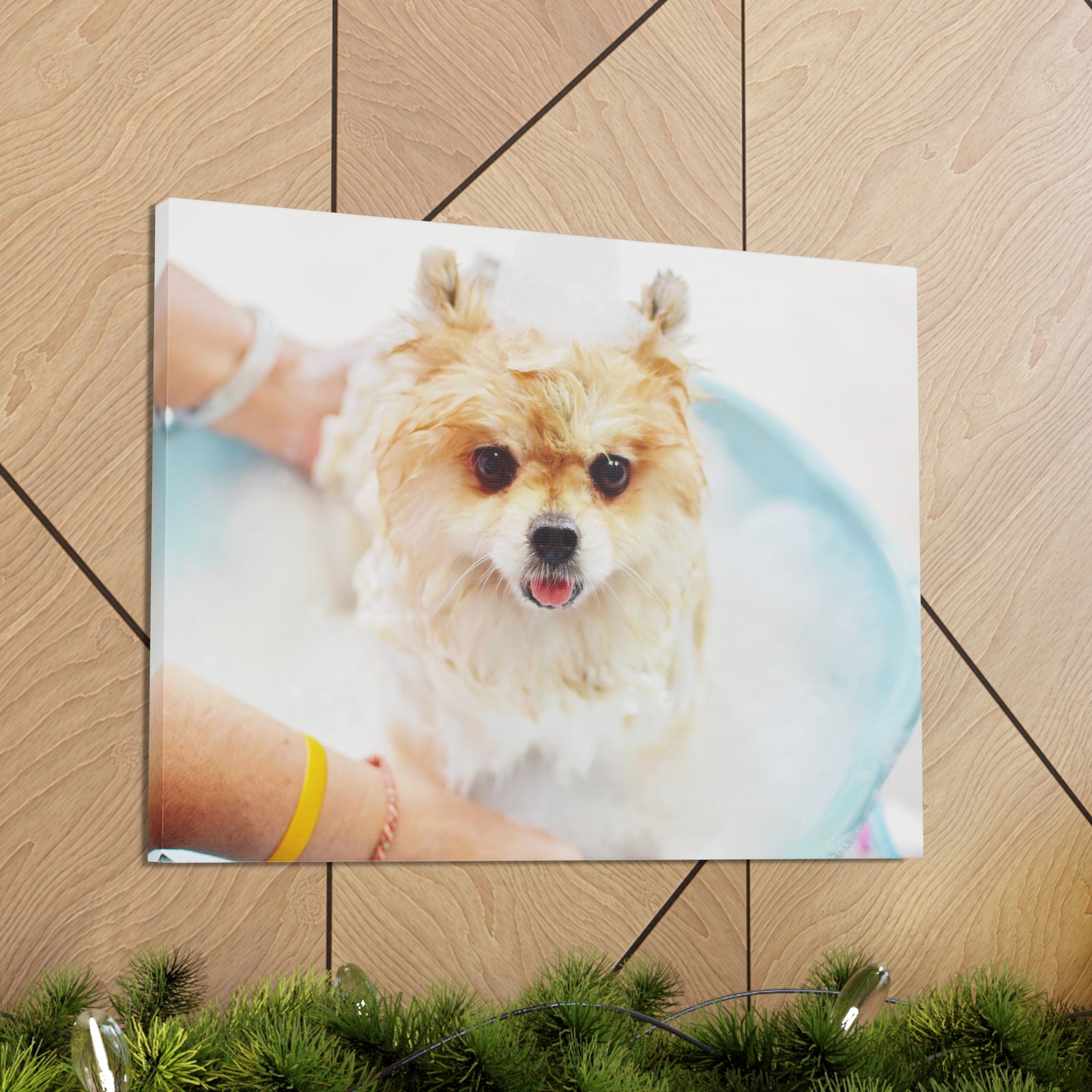 Cute Pomeranian Bath Canvas Wall Art for Home Decor Ready-to-Hang-Express Your Love Gifts
