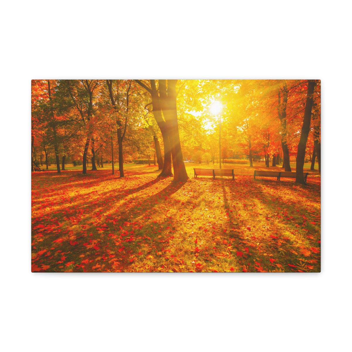 Sunrise Autumn Park Nature Wilderness Photography Canvas Wall Art for Home Decor Ready-to-Hang-Express Your Love Gifts