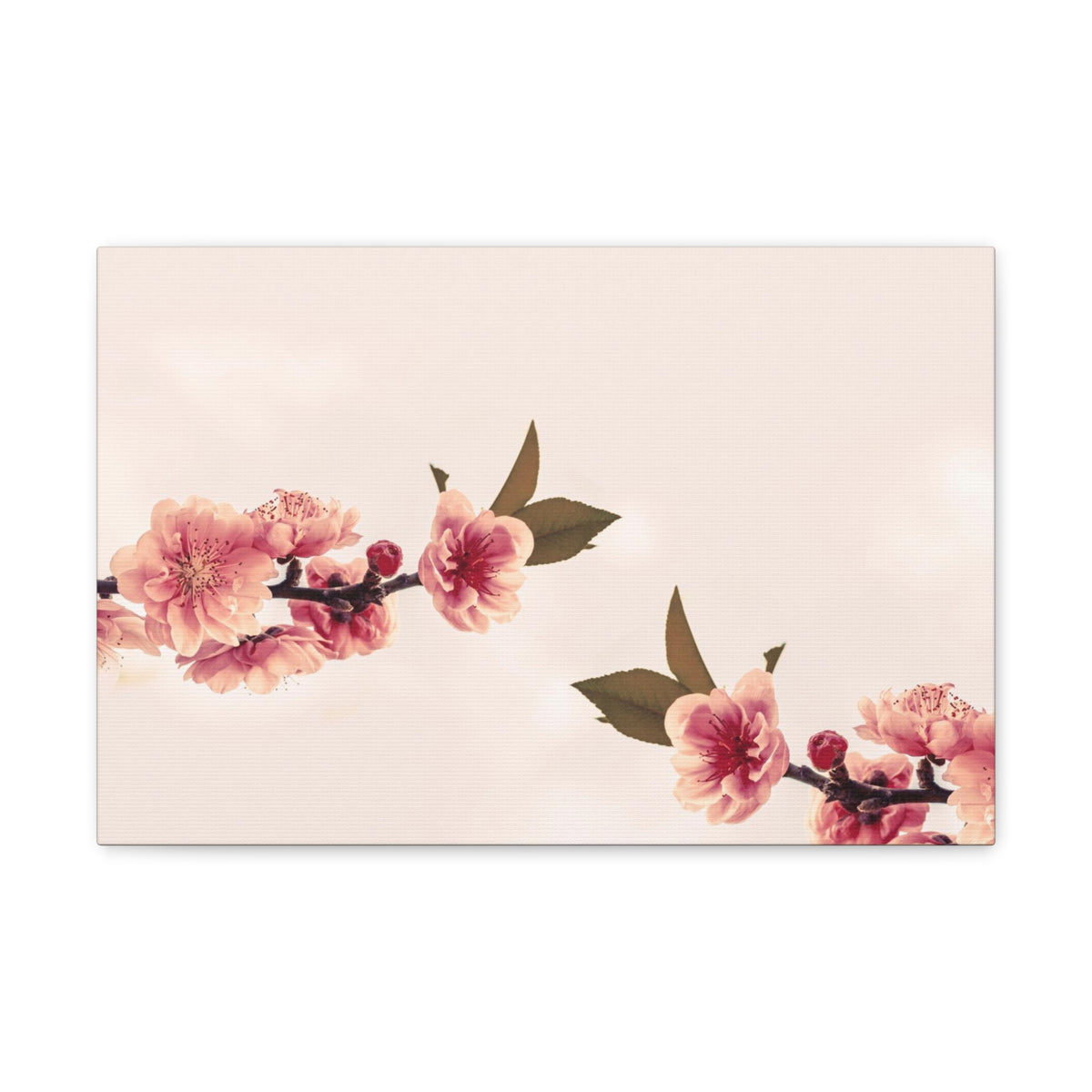 Peach Blossoms with Space Forest Floral Nature Photography Canvas Wall Art for Home Decor Ready-to-Hang-Express Your Love Gifts