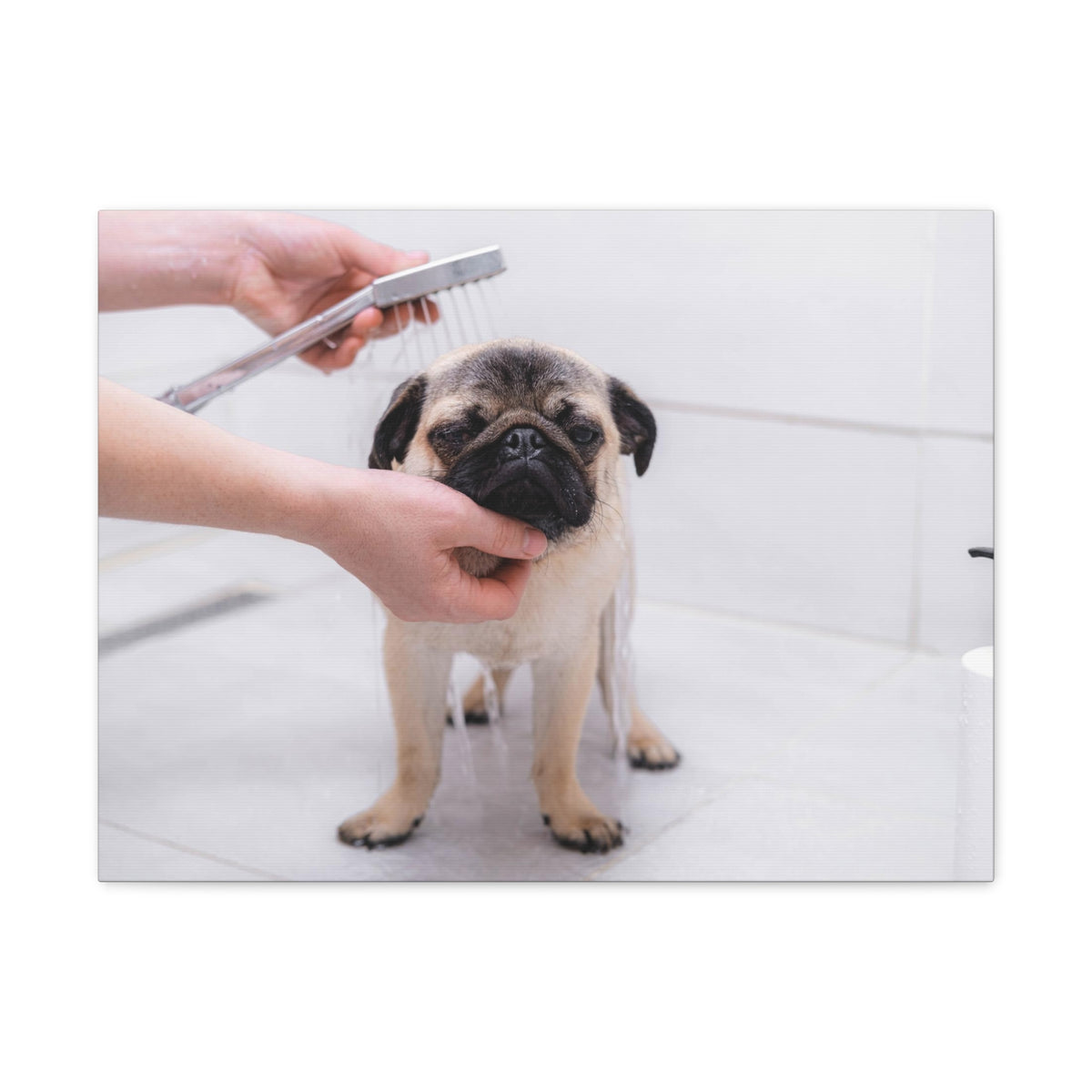 Cute Pug Bathee Canvas Wall Art for Home Decor Ready-to-Hang-Express Your Love Gifts