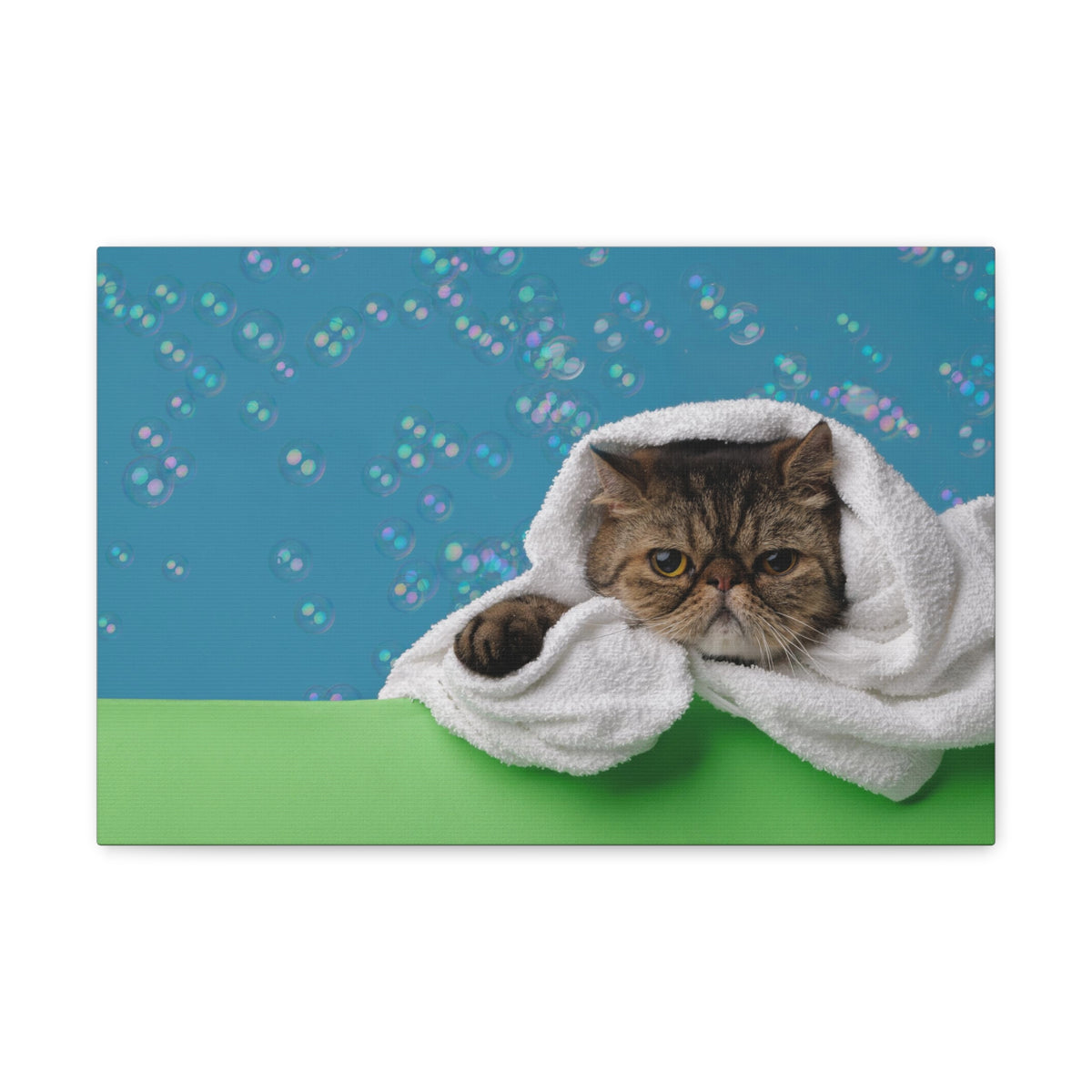 Cute Exotic Shorthair Bathee Canvas Wall Art for Home Decor Ready-to-Hang-Express Your Love Gifts