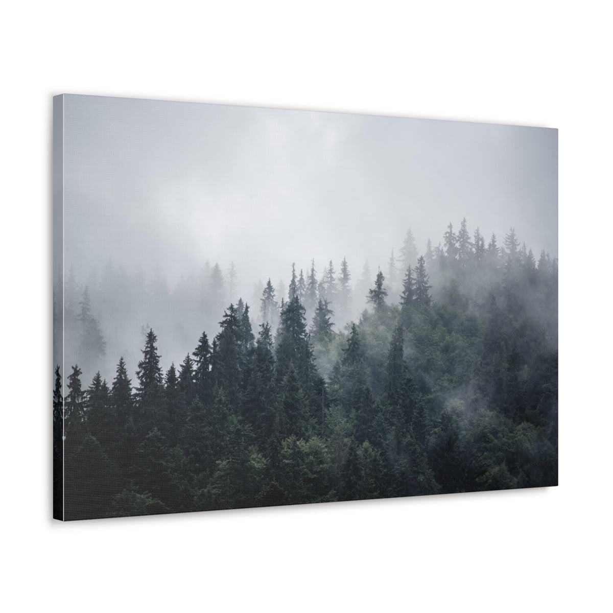 Foggy Pine Tree Green Forest Nature Wilderness Photography Canvas Wall Art for Home Decor Ready-to-Hang-Express Your Love Gifts