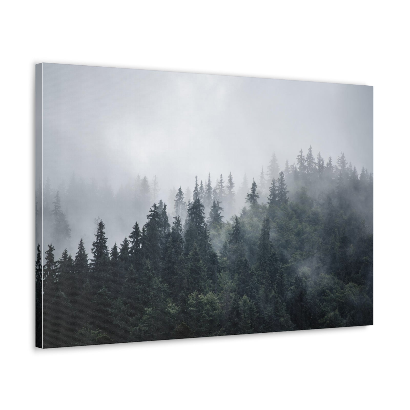 Foggy Pine Tree Green Forest Nature Wilderness Photography Canvas Wall Art for Home Decor Ready-to-Hang-Express Your Love Gifts