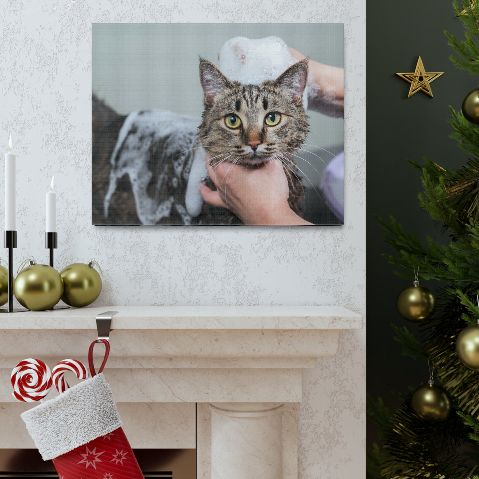 Cute Gray Cat Bath Canvas Wall Art for Home Decor Ready-to-Hang-Express Your Love Gifts