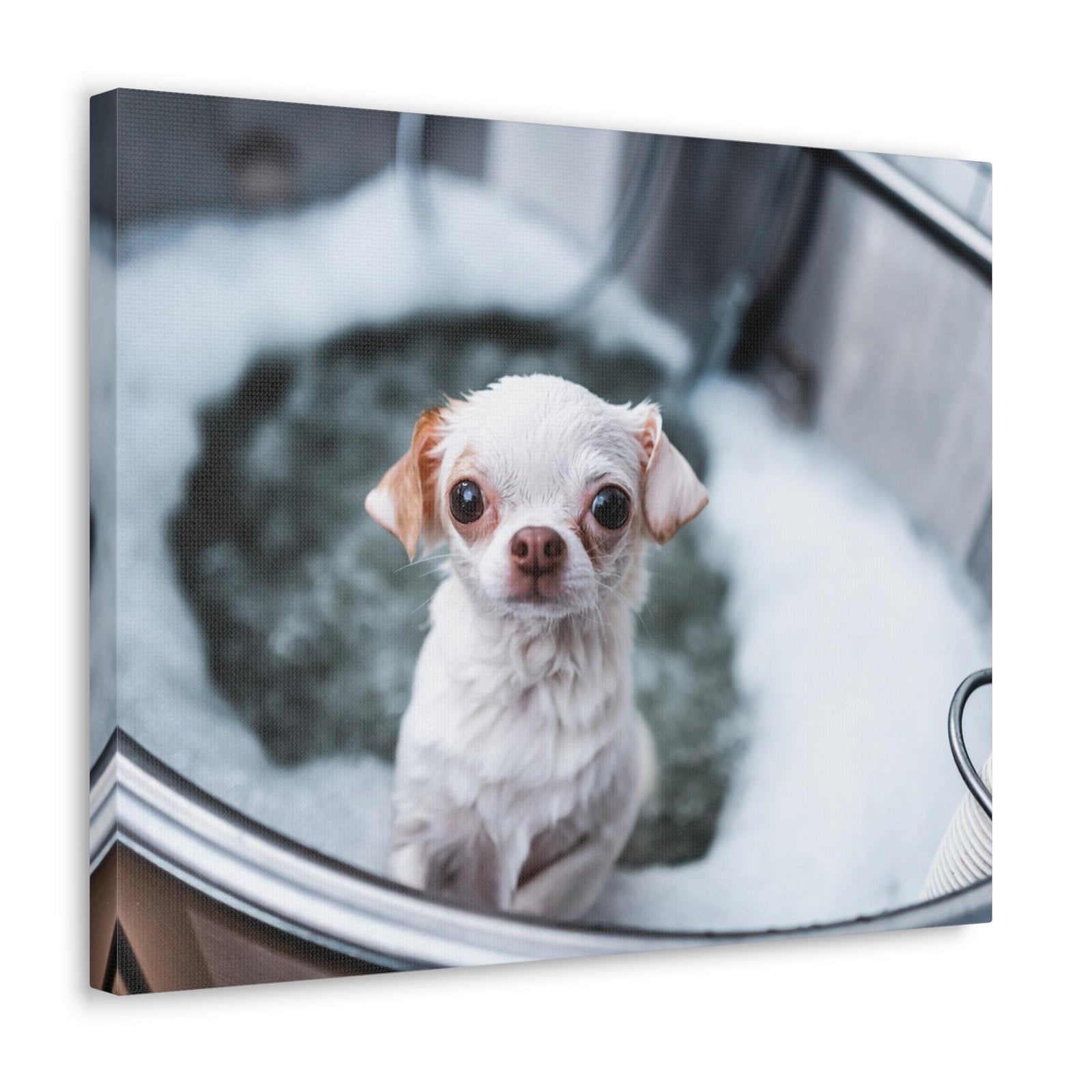 Cute Chihuahua Bathee Canvas Wall Art for Home Decor Ready-to-Hang-Express Your Love Gifts