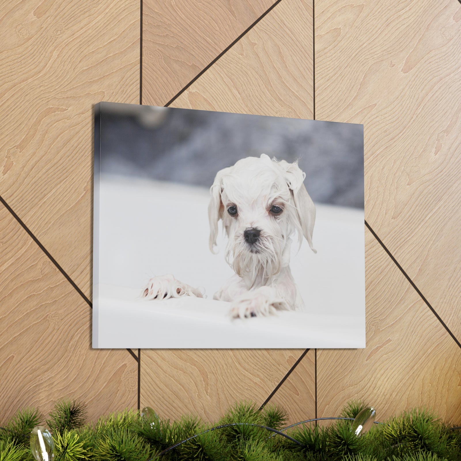 Cute White Maltese Bath Canvas Wall Art for Home Decor Ready-to-Hang-Express Your Love Gifts