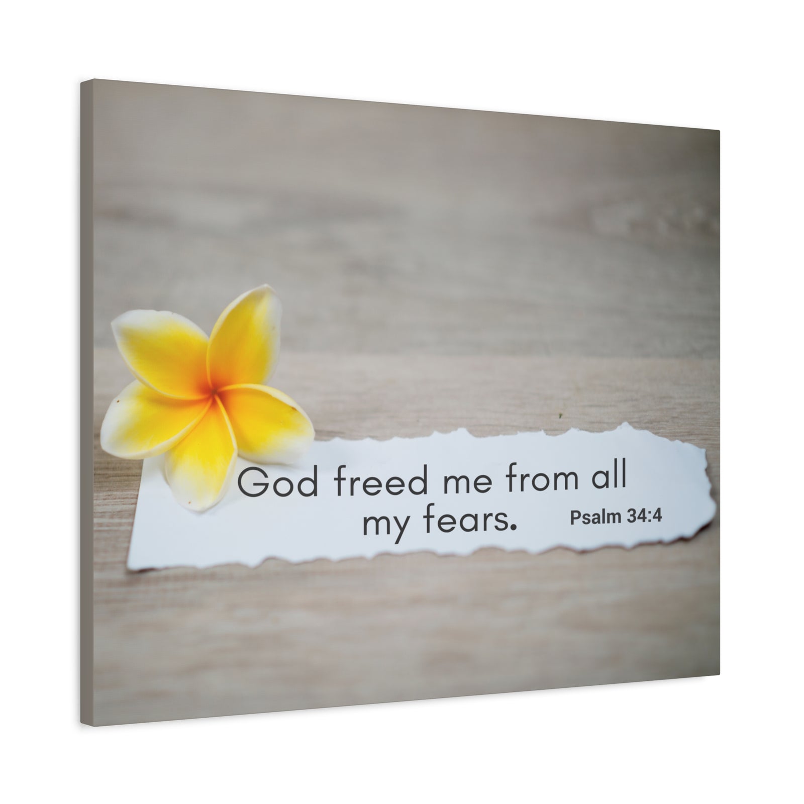 Scripture Walls God Freed Me Psalm 34:4 Bible Verse Canvas Christian Wall Art Ready to Hang-Express Your Love Gifts