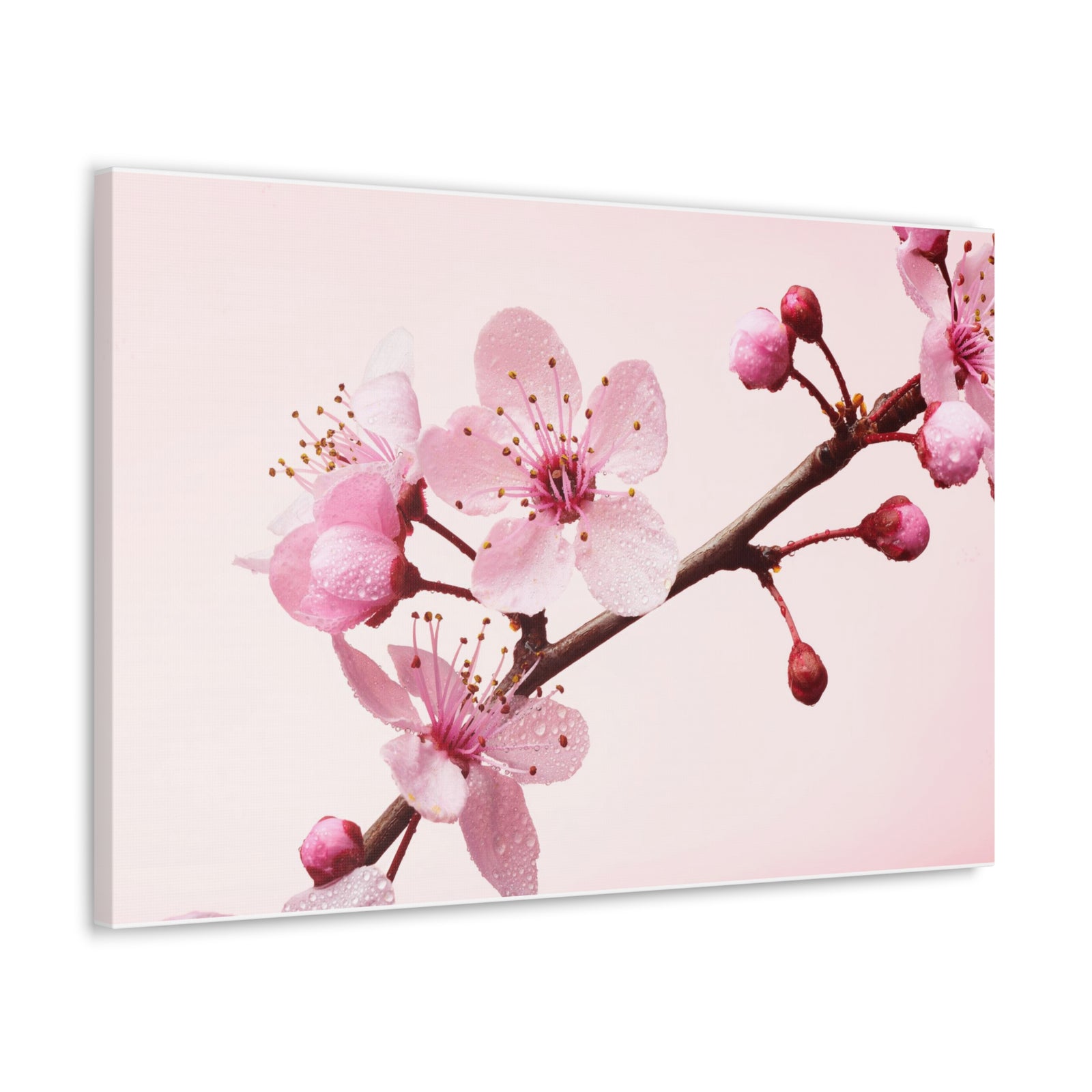 Cherry Blossom Branch Forest Floral Nature Photography Canvas Wall Art for Home Decor Ready-to-Hang-Express Your Love Gifts