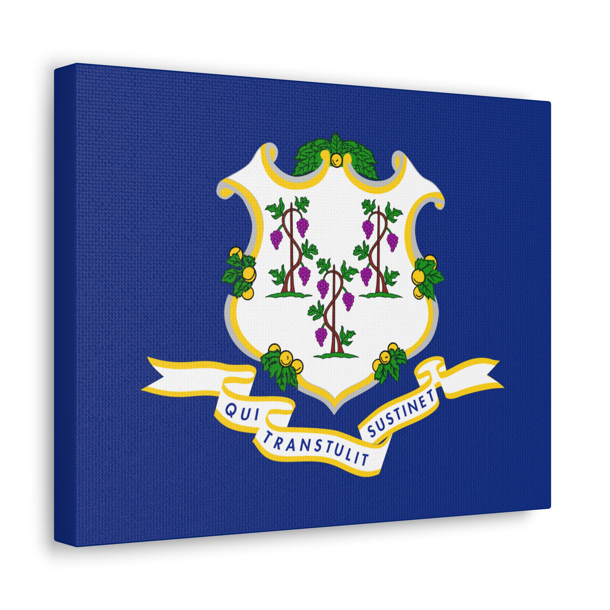 Connecticut State Flag Canvas Vibrant Wall Art Unframed Home Decor-Express Your Love Gifts