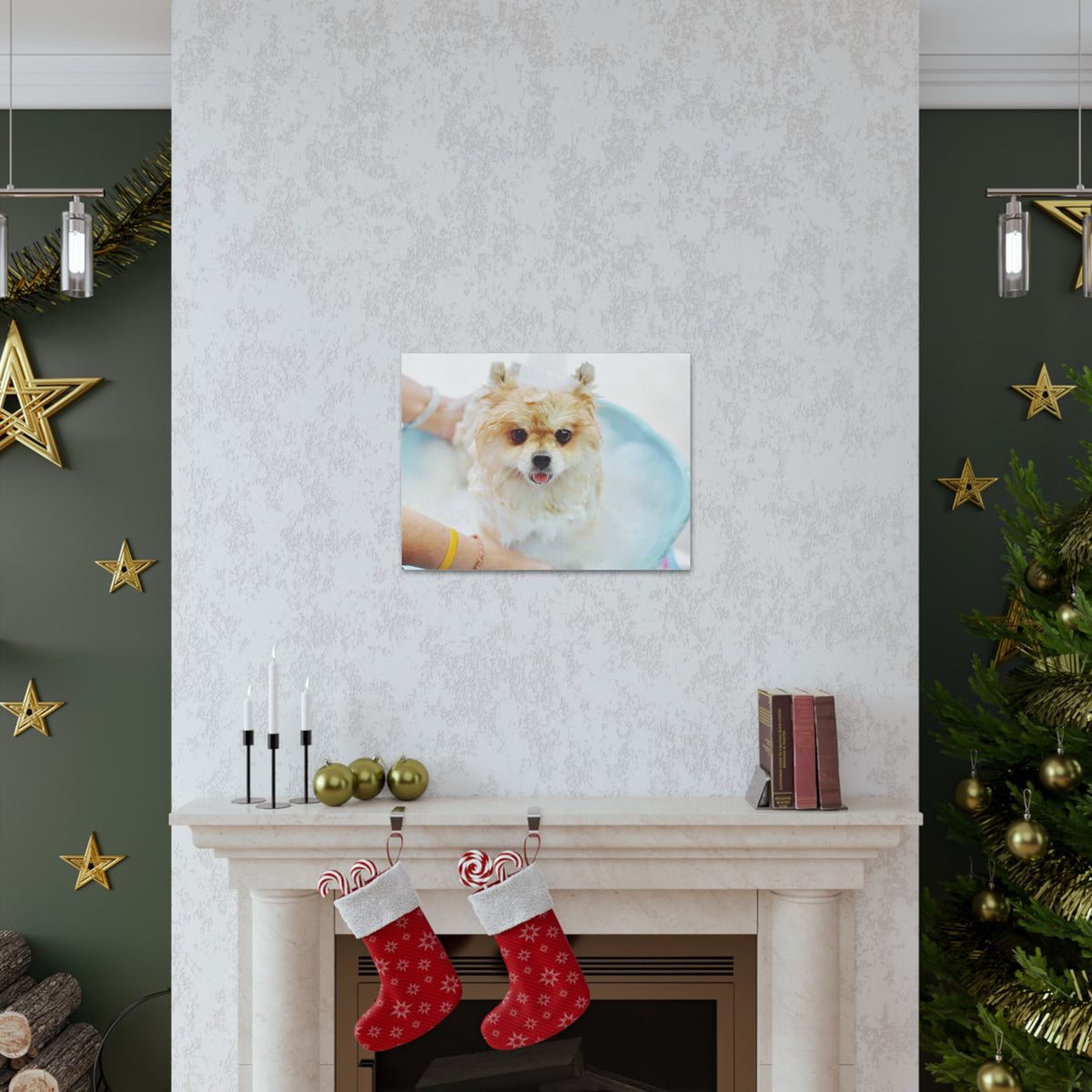 Cute Pomeranian Bath Canvas Wall Art for Home Decor Ready-to-Hang-Express Your Love Gifts