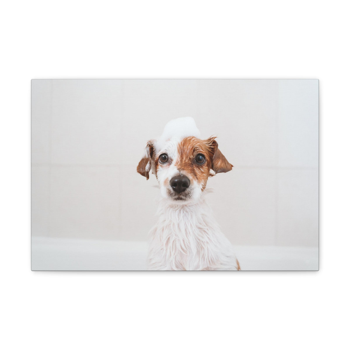 Cute Jack Russell Terrier Bathee Canvas Wall Art for Home Decor Ready-to-Hang-Express Your Love Gifts