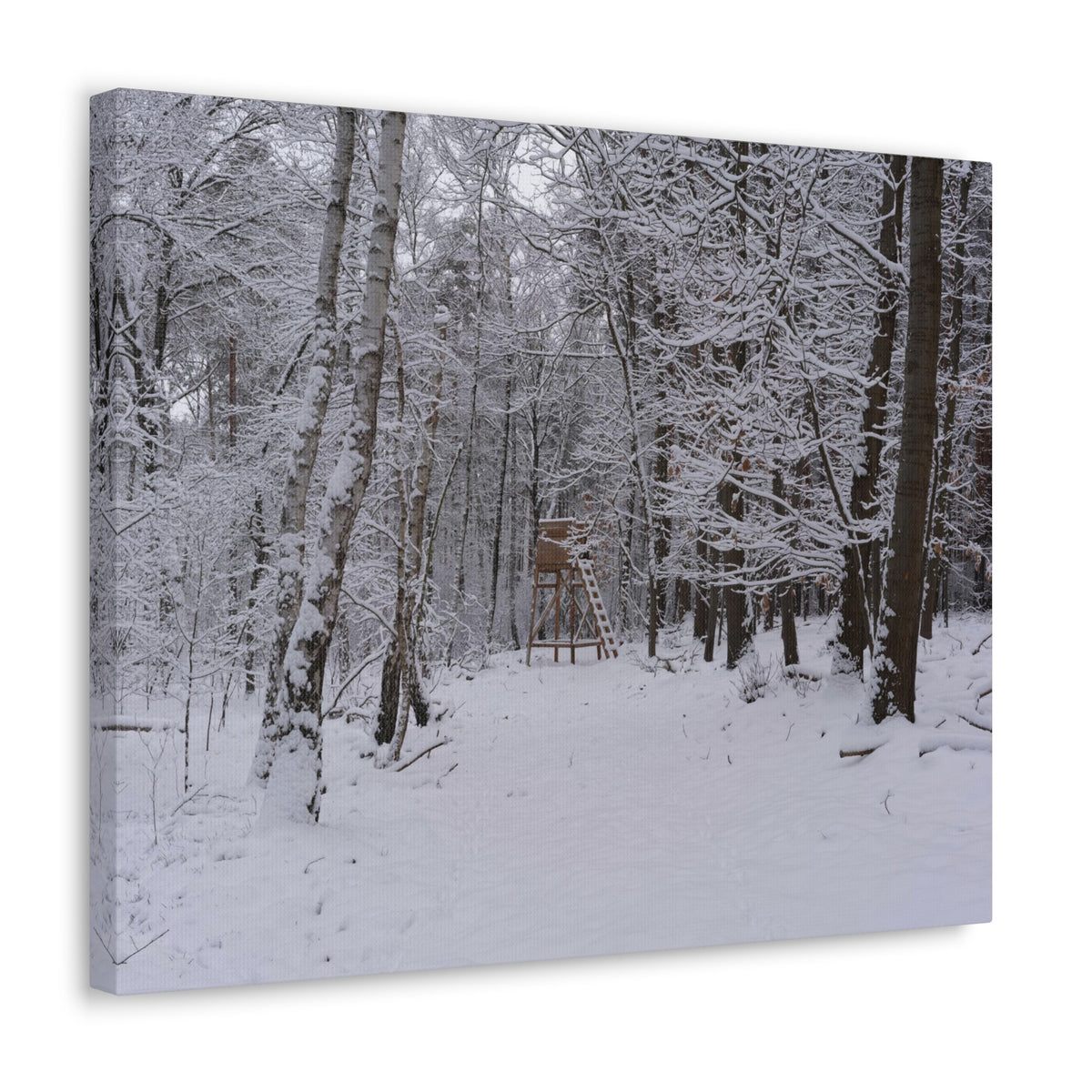 Forest Winter Tree Snow Nature Wilderness Photography Canvas Wall Art for Home Decor Ready-to-Hang-Express Your Love Gifts