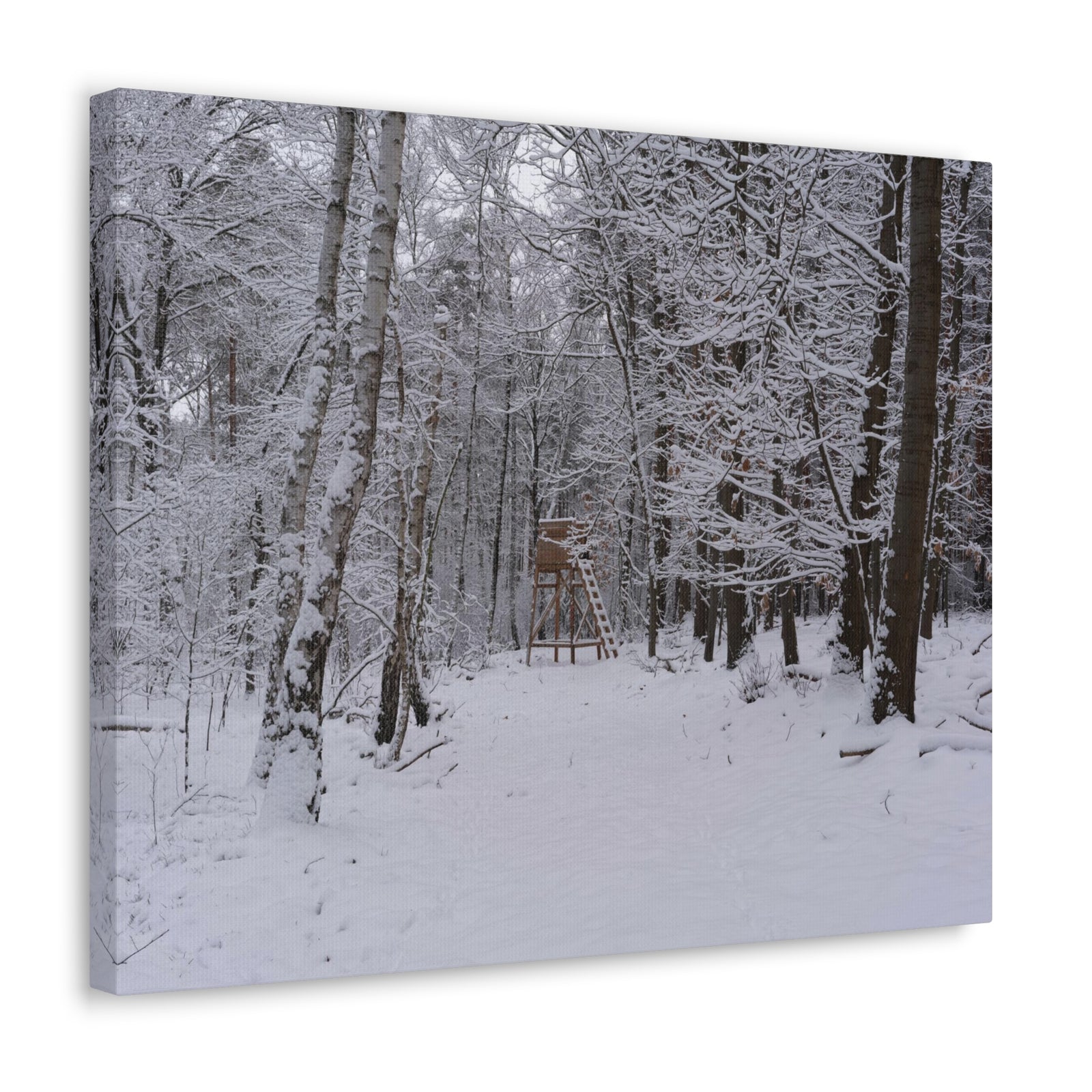Forest Winter Tree Snow Nature Wilderness Photography Canvas Wall Art for Home Decor Ready-to-Hang-Express Your Love Gifts