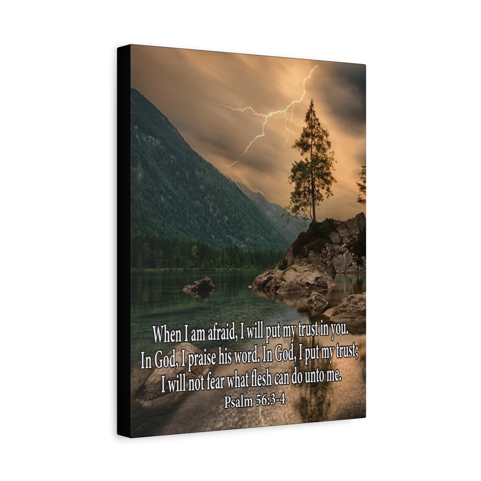 Scripture Canvas I Put My Trust in You Psalm 56:3-4 Christian Wall Art Bible Verse Print Ready to Hang-Express Your Love Gifts