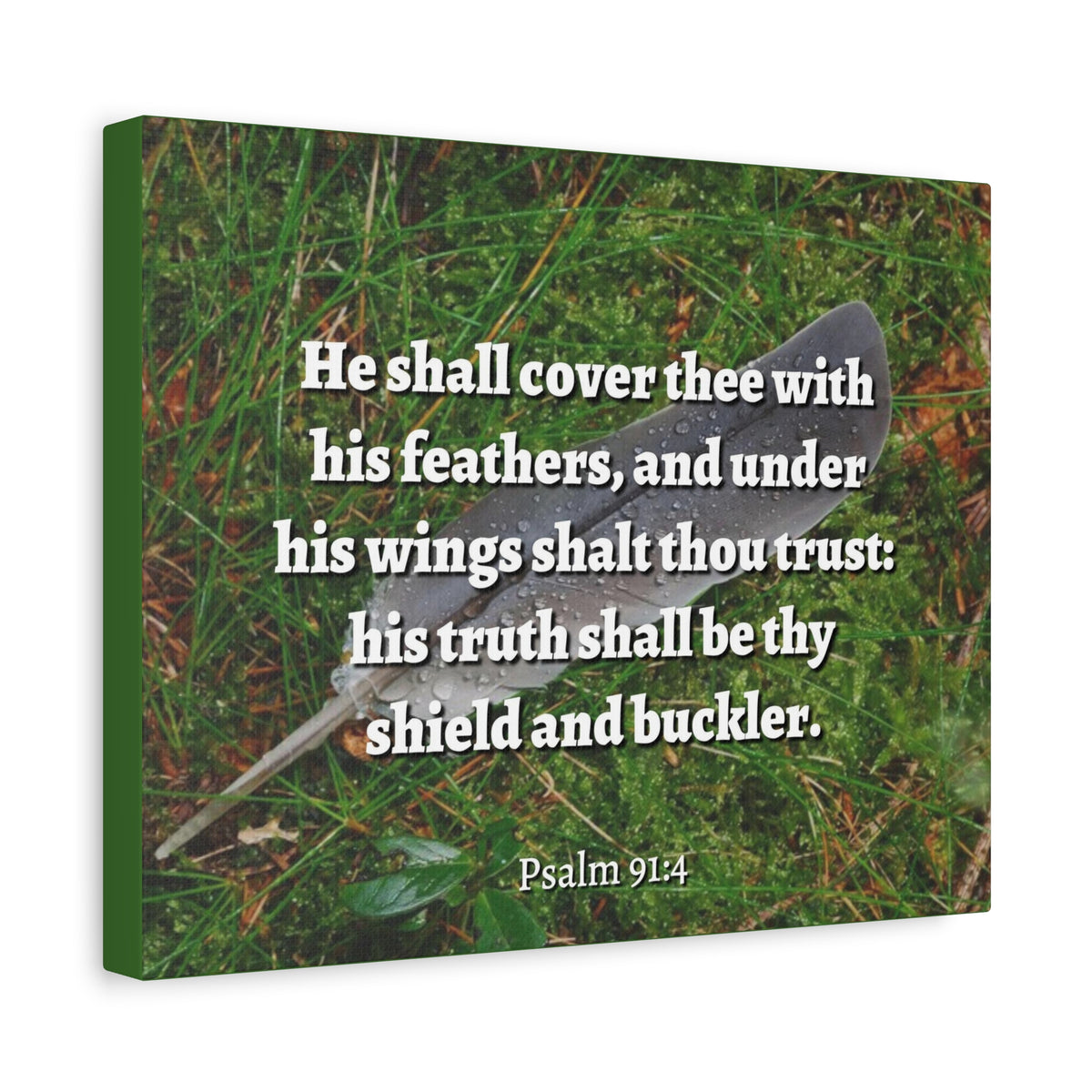 Scripture Canvas Shield And Buckler Psalms 91:4 Christian Wall Art Bible Verse Print Ready to Hang-Express Your Love Gifts