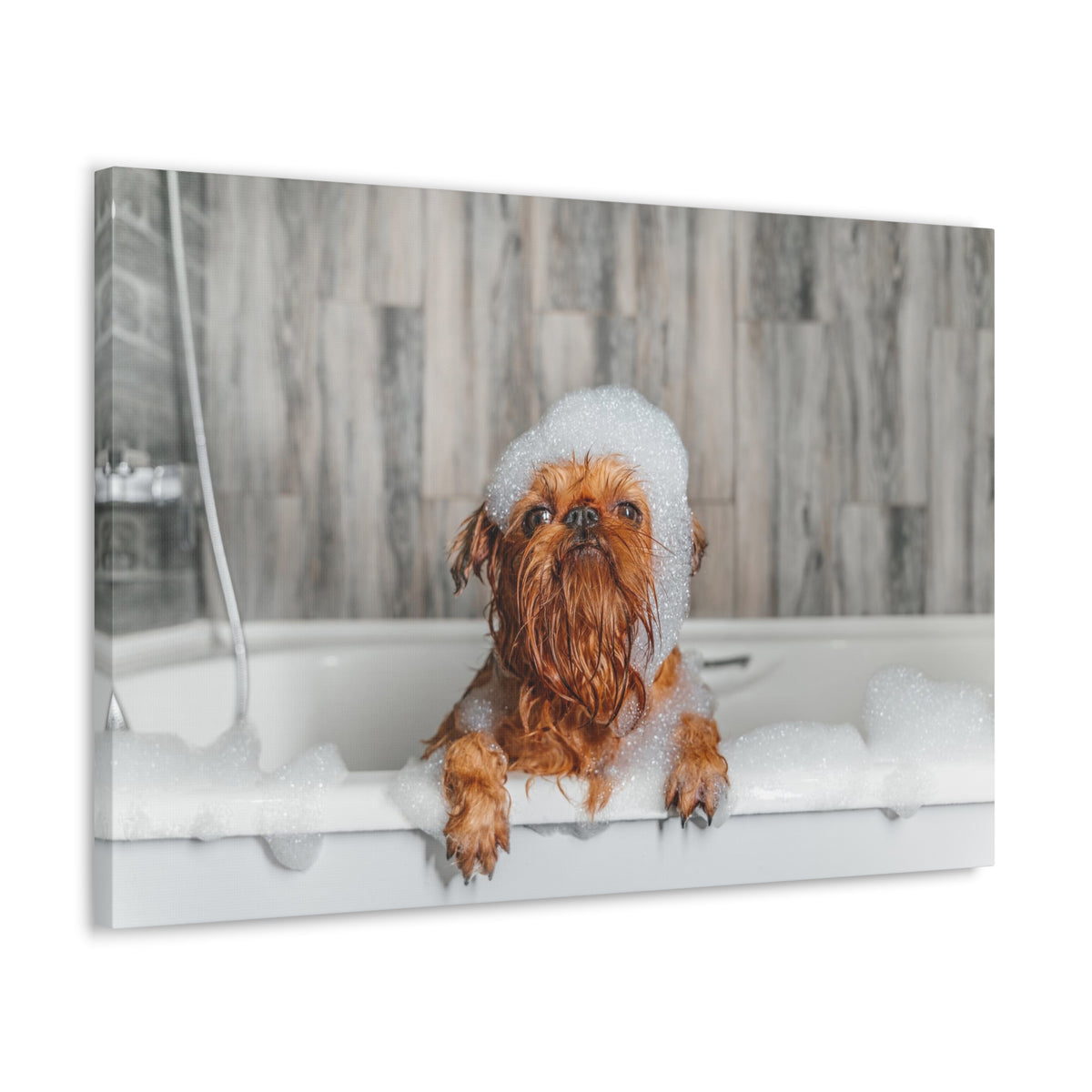 Cute Little Griffon Bathee Canvas Wall Art for Home Decor Ready-to-Hang-Express Your Love Gifts