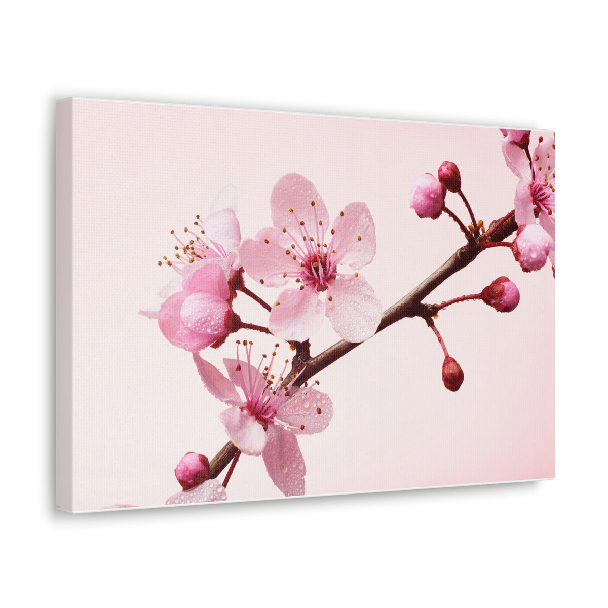 Cherry Blossom Branch Forest Floral Nature Photography Canvas Wall Art for Home Decor Ready-to-Hang-Express Your Love Gifts