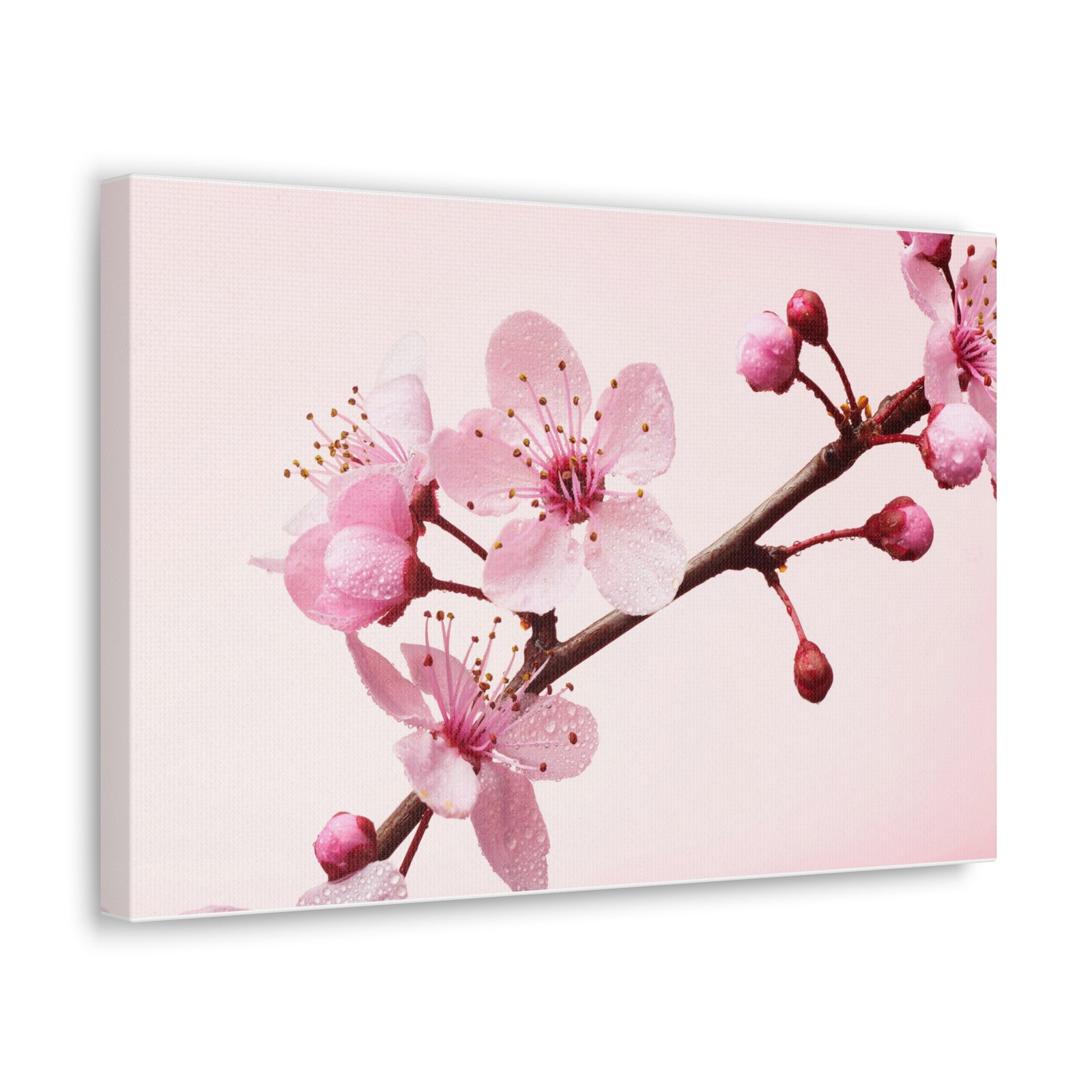 Cherry Blossom Branch Forest Floral Nature Photography Canvas Wall Art for Home Decor Ready-to-Hang-Express Your Love Gifts