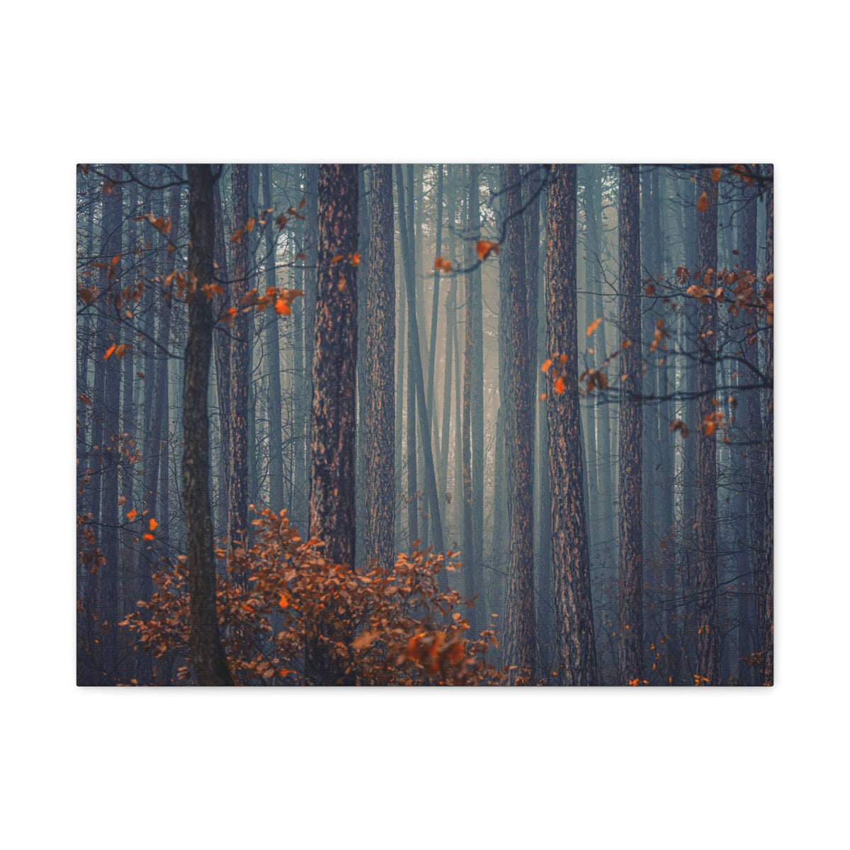 Autumn Forest Misty Orange Tree Leave Nature Wilderness Photography Canvas Wall Art for Home Decor Ready-to-Hang-Express Your Love Gifts